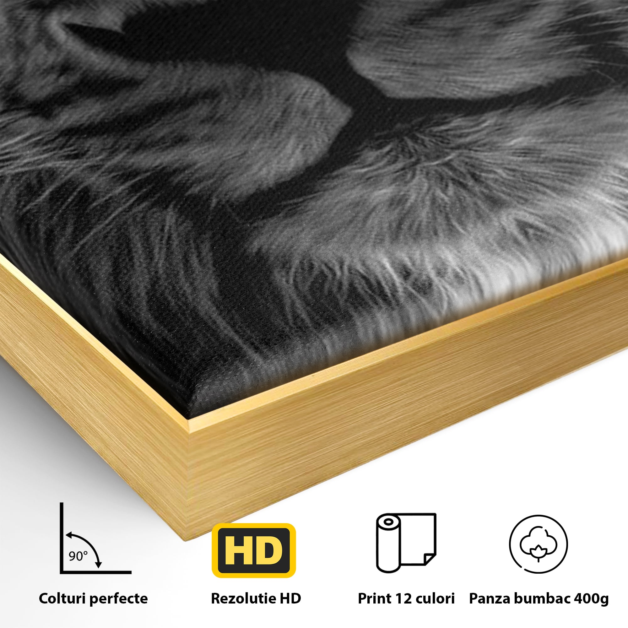 Tablou Canvas Premium LuxCanva® F1021, Fii Rege , Leu, Lider, Puternic, Jungla, Forta, Savana, Coroana, Impunator, Living Room, Birou, Culori vibrante