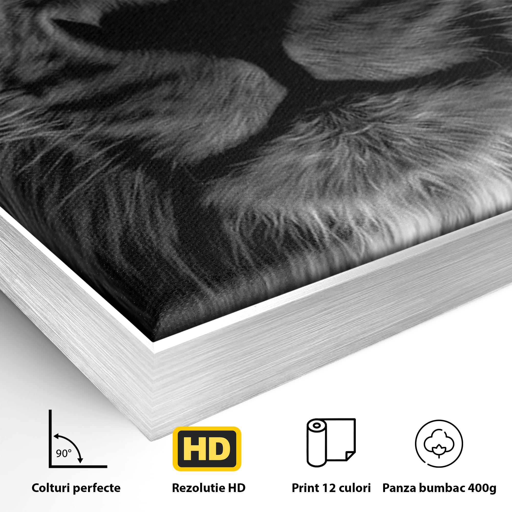 Tablou Canvas Premium LuxCanva® F1021, Fii Rege , Leu, Lider, Puternic, Jungla, Forta, Savana, Coroana, Impunator, Living Room, Birou, Culori vibrante