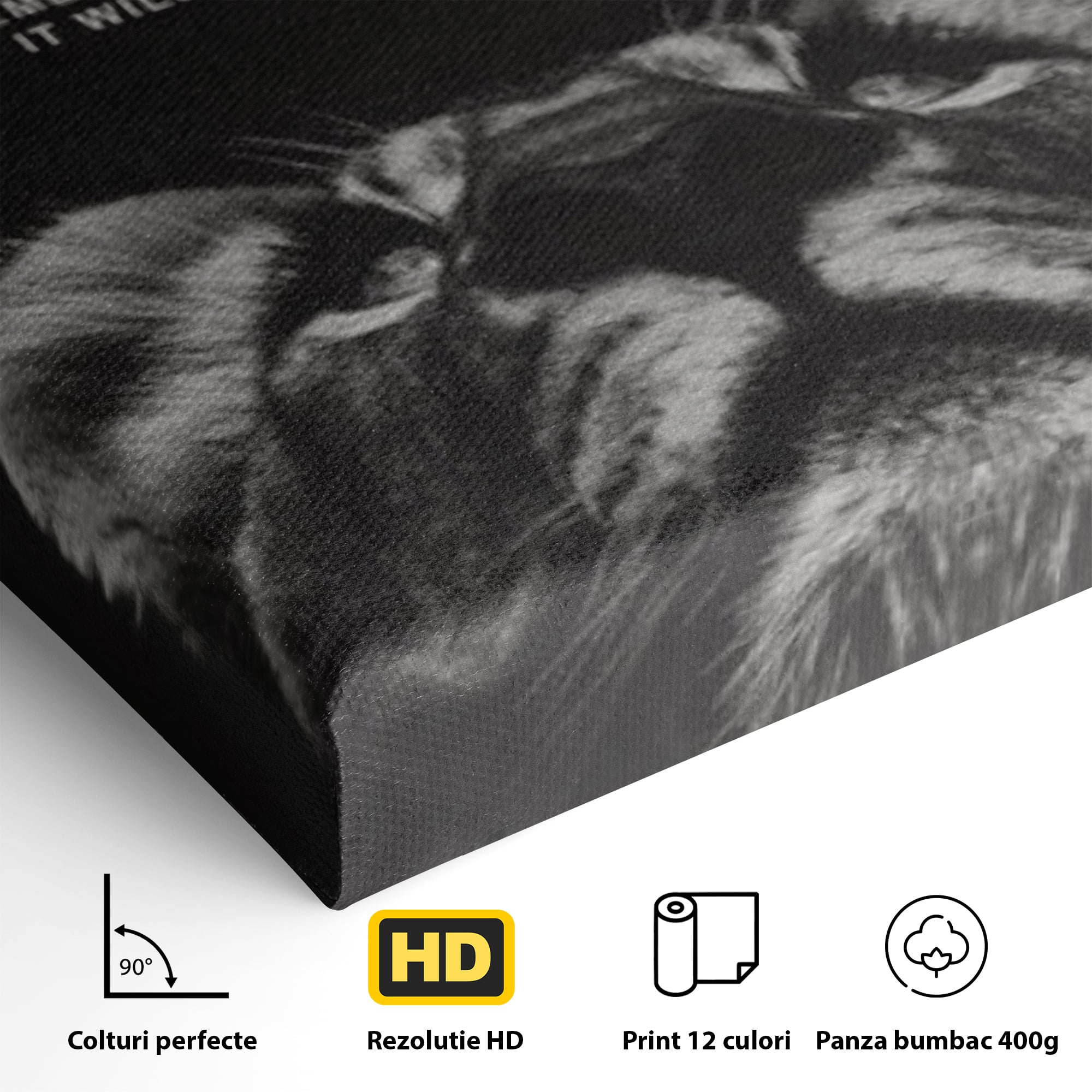 Tablou Canvas Premium LuxCanva® F1022, Drumul Spre Maretie, Succes, Evolutie, Mentalitate, Lider, Succes, Living Room, Birou, Culori vibrante