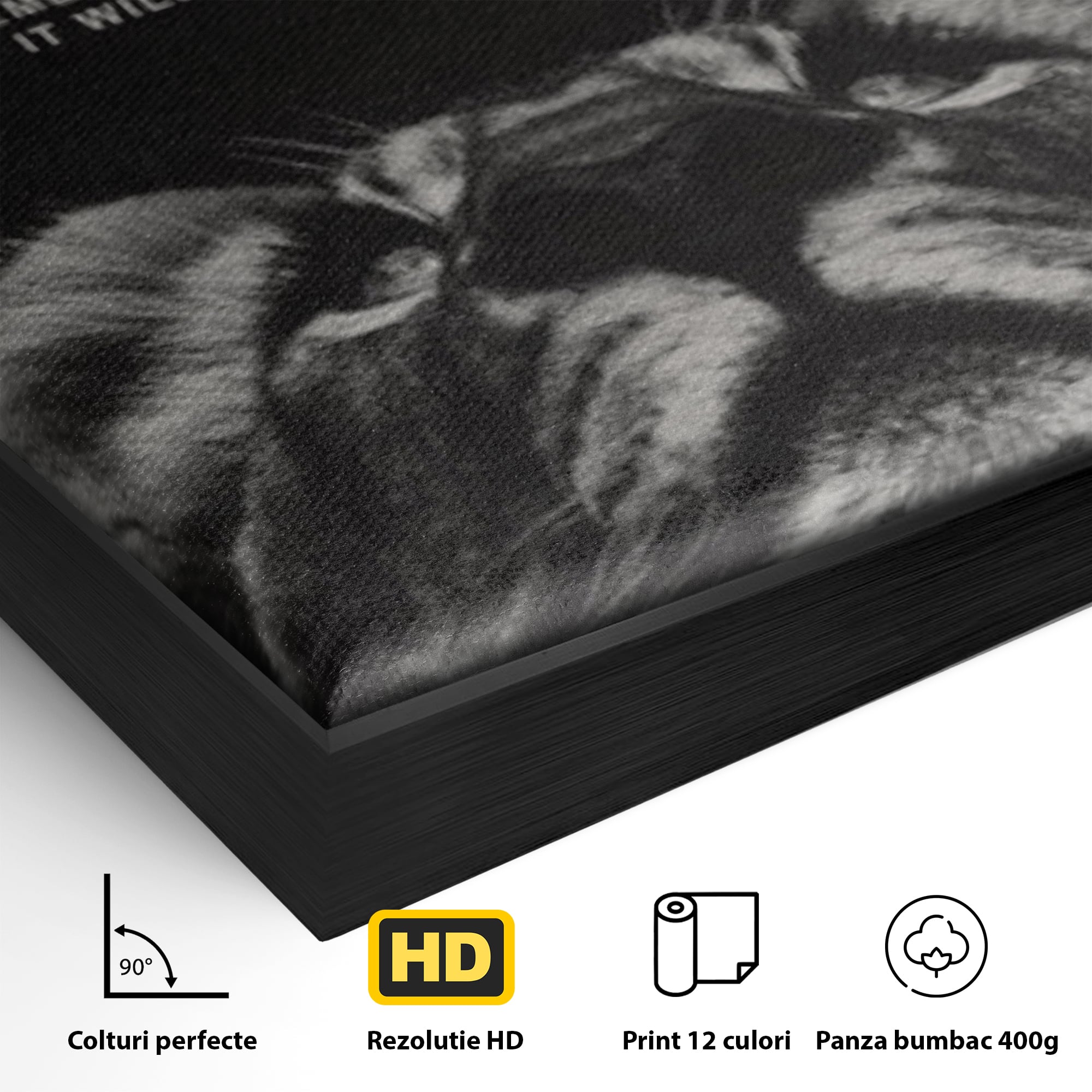 Tablou Canvas Premium LuxCanva® F1022, Drumul Spre Maretie, Succes, Evolutie, Mentalitate, Lider, Succes, Living Room, Birou, Culori vibrante