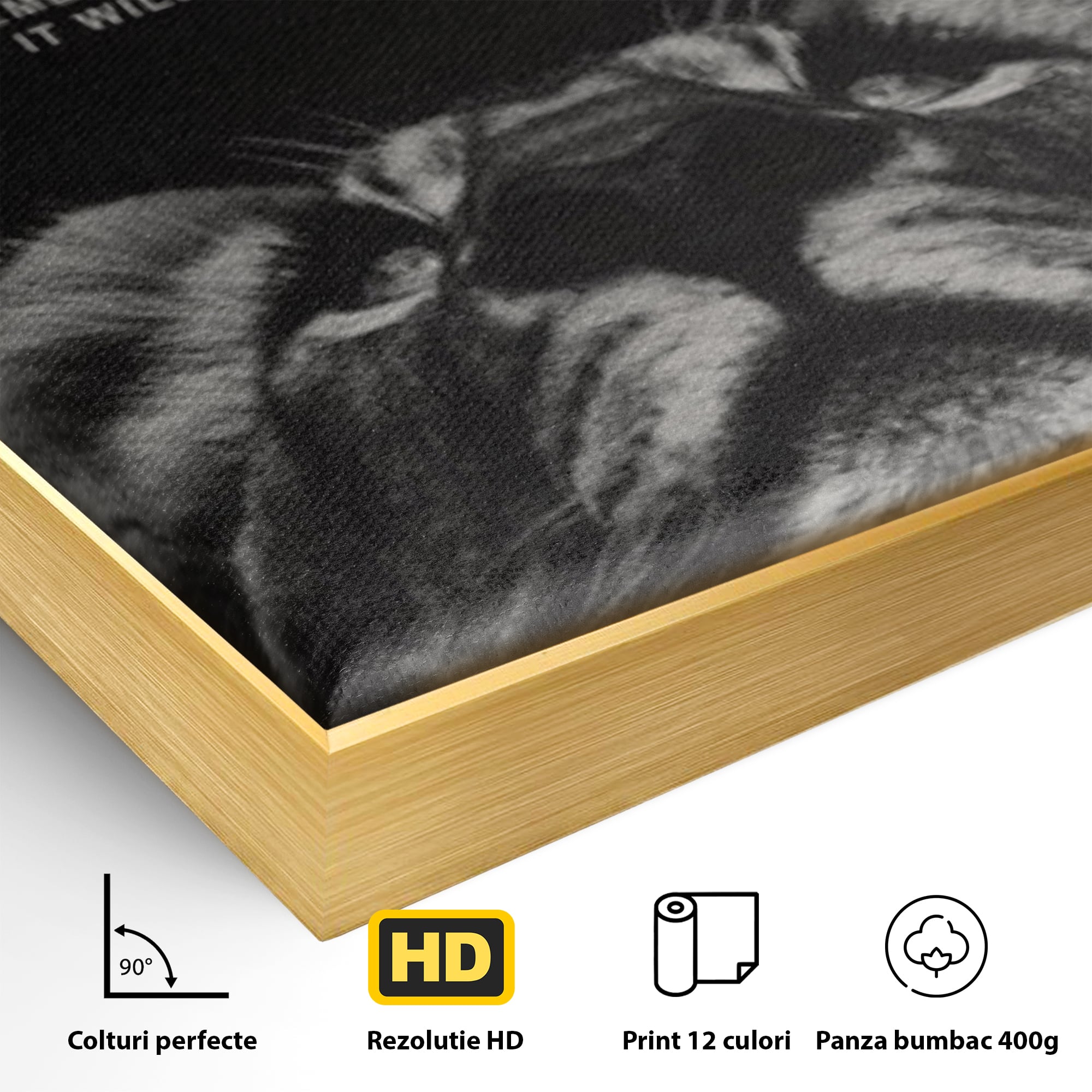 Tablou Canvas Premium LuxCanva® F1022, Drumul Spre Maretie, Succes, Evolutie, Mentalitate, Lider, Succes, Living Room, Birou, Culori vibrante
