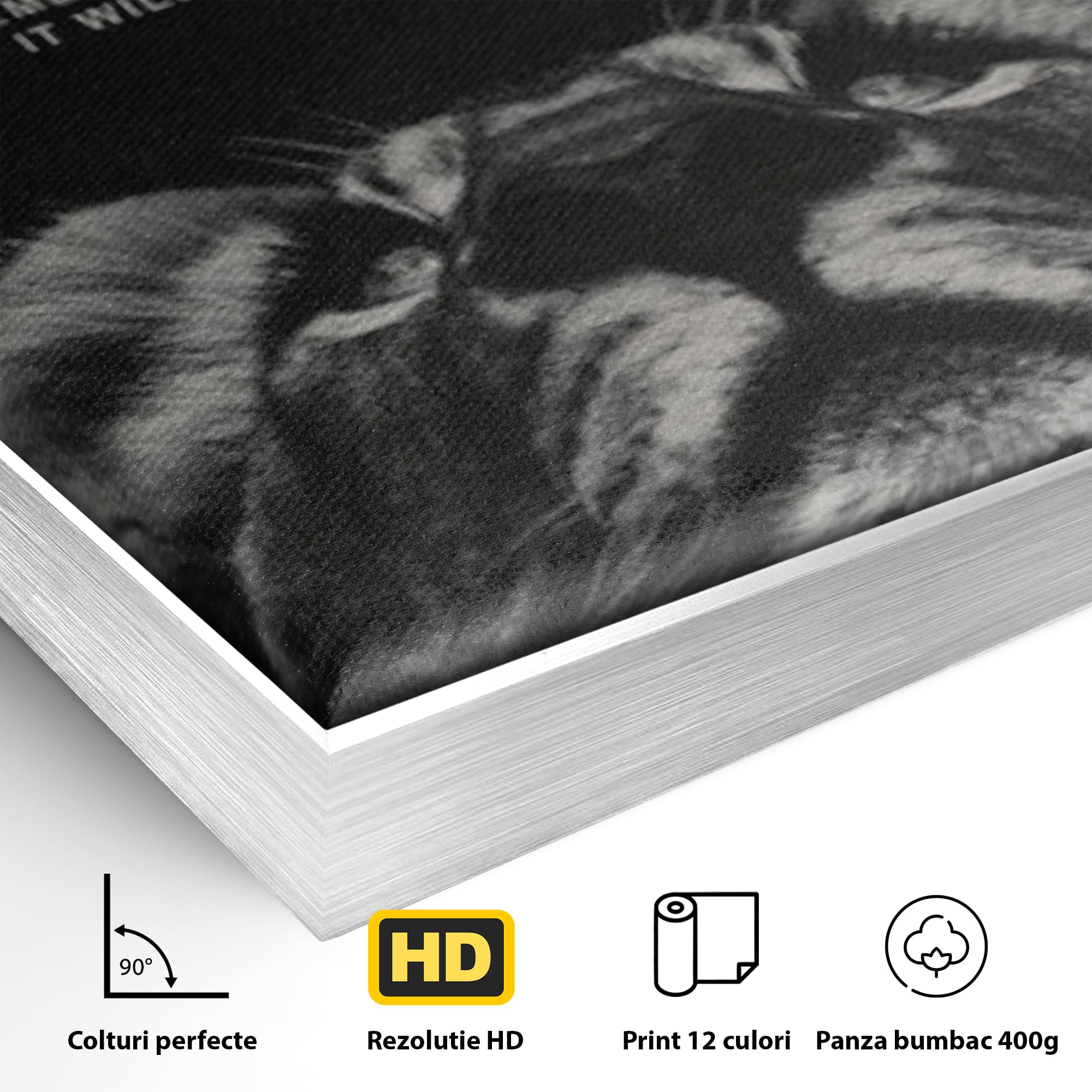Tablou Canvas Premium LuxCanva® F1022, Drumul Spre Maretie, Succes, Evolutie, Mentalitate, Lider, Succes, Living Room, Birou, Culori vibrante