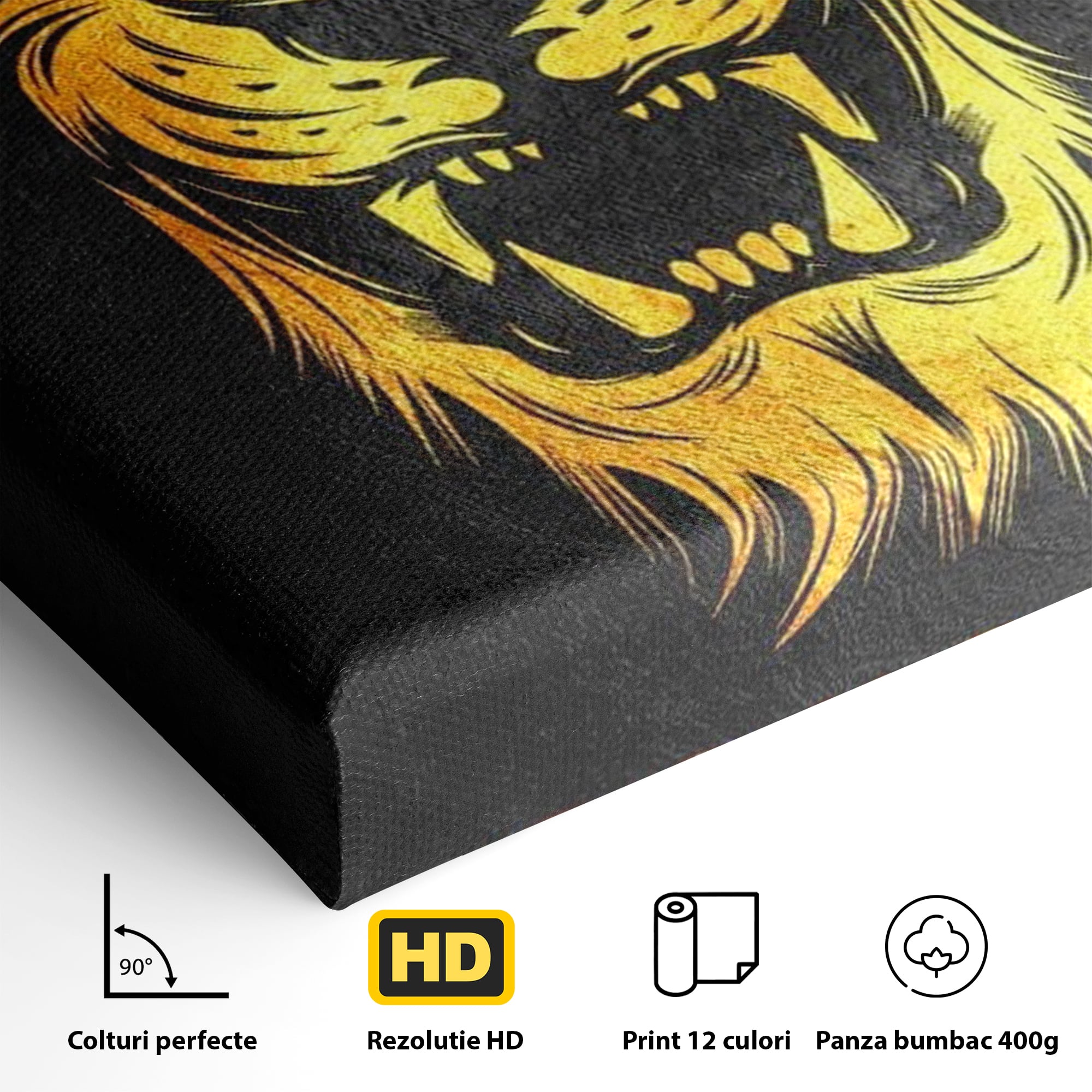 Tablou Canvas Premium LuxCanva® F1023, Privirea Succesului , Succes, Evolutie, Mentalitate, Lider, Succes, Living Room, Birou, Culori vibrante