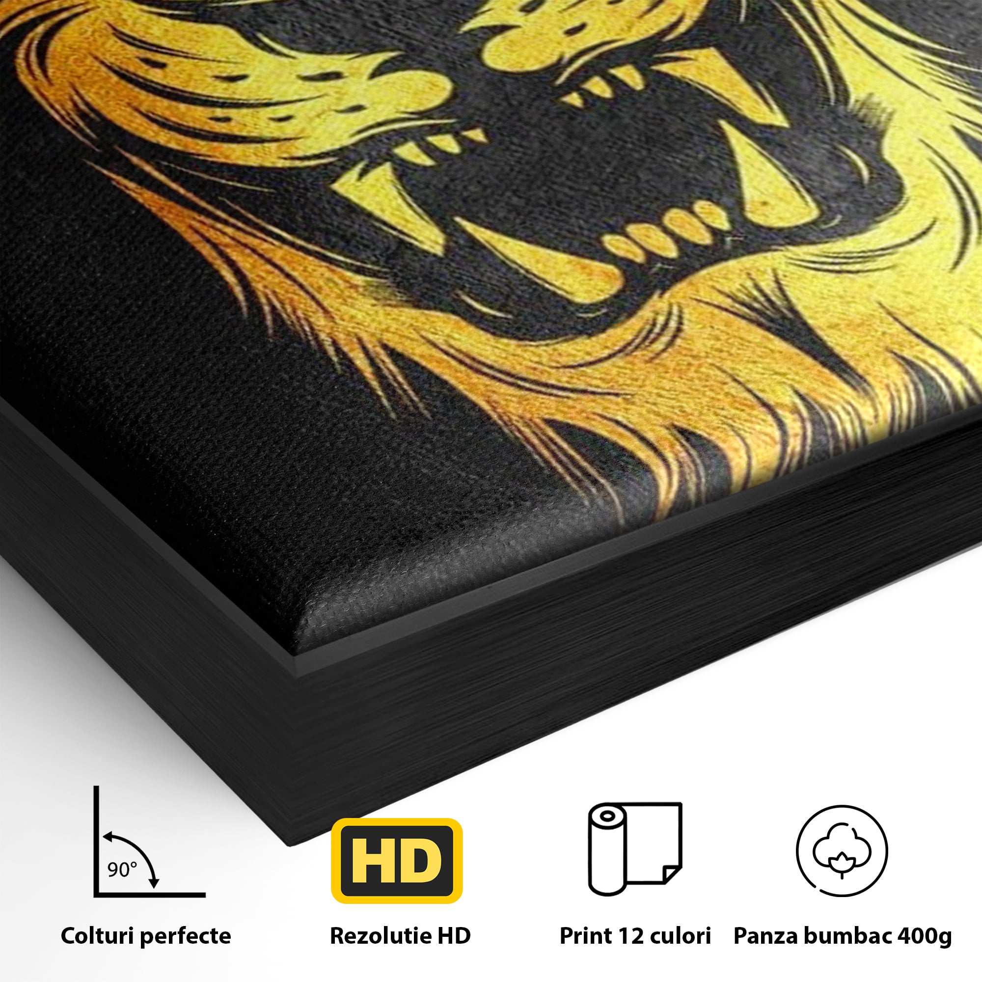 Tablou Canvas Premium LuxCanva® F1023, Privirea Succesului , Succes, Evolutie, Mentalitate, Lider, Succes, Living Room, Birou, Culori vibrante