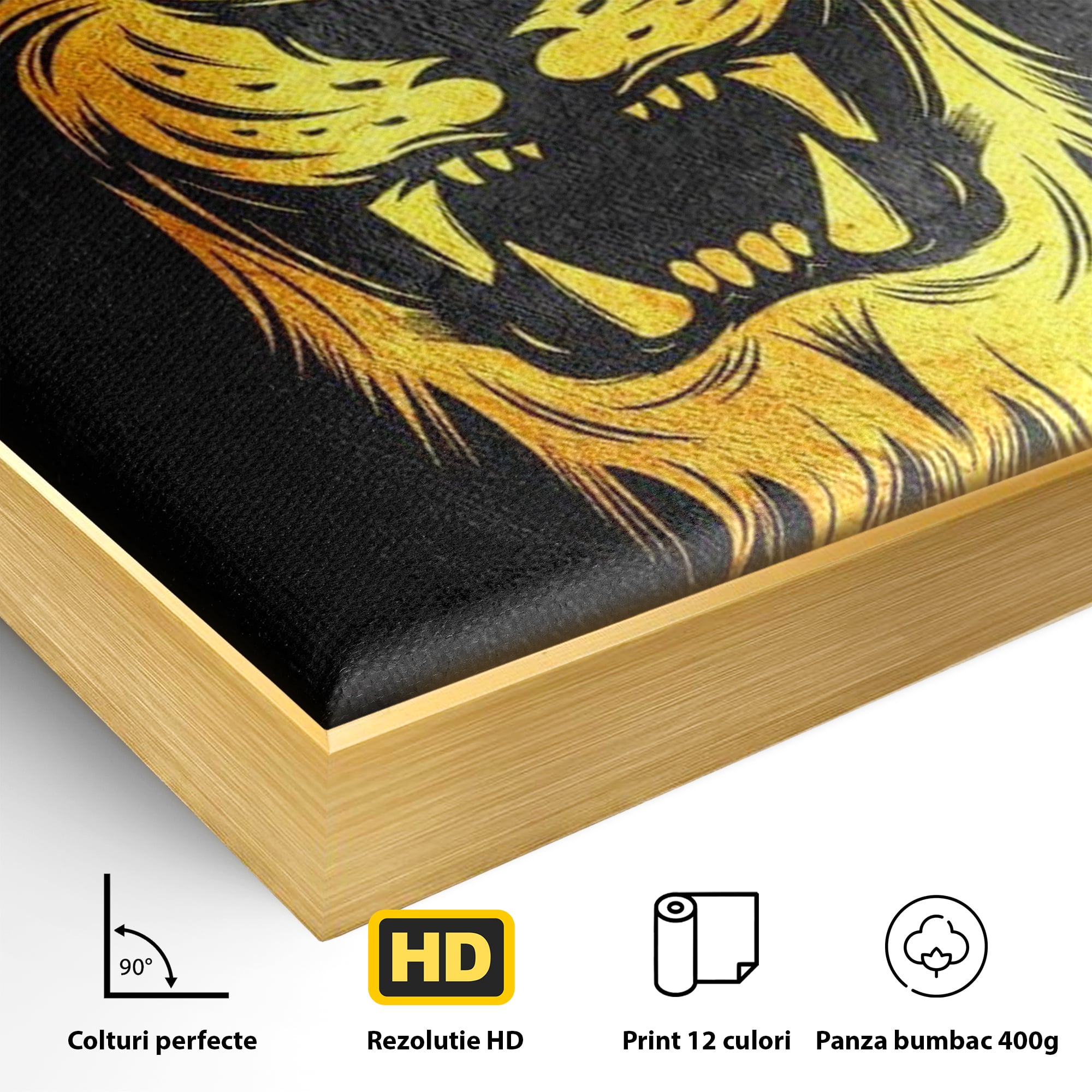 Tablou Canvas Premium LuxCanva® F1023, Privirea Succesului , Succes, Evolutie, Mentalitate, Lider, Succes, Living Room, Birou, Culori vibrante