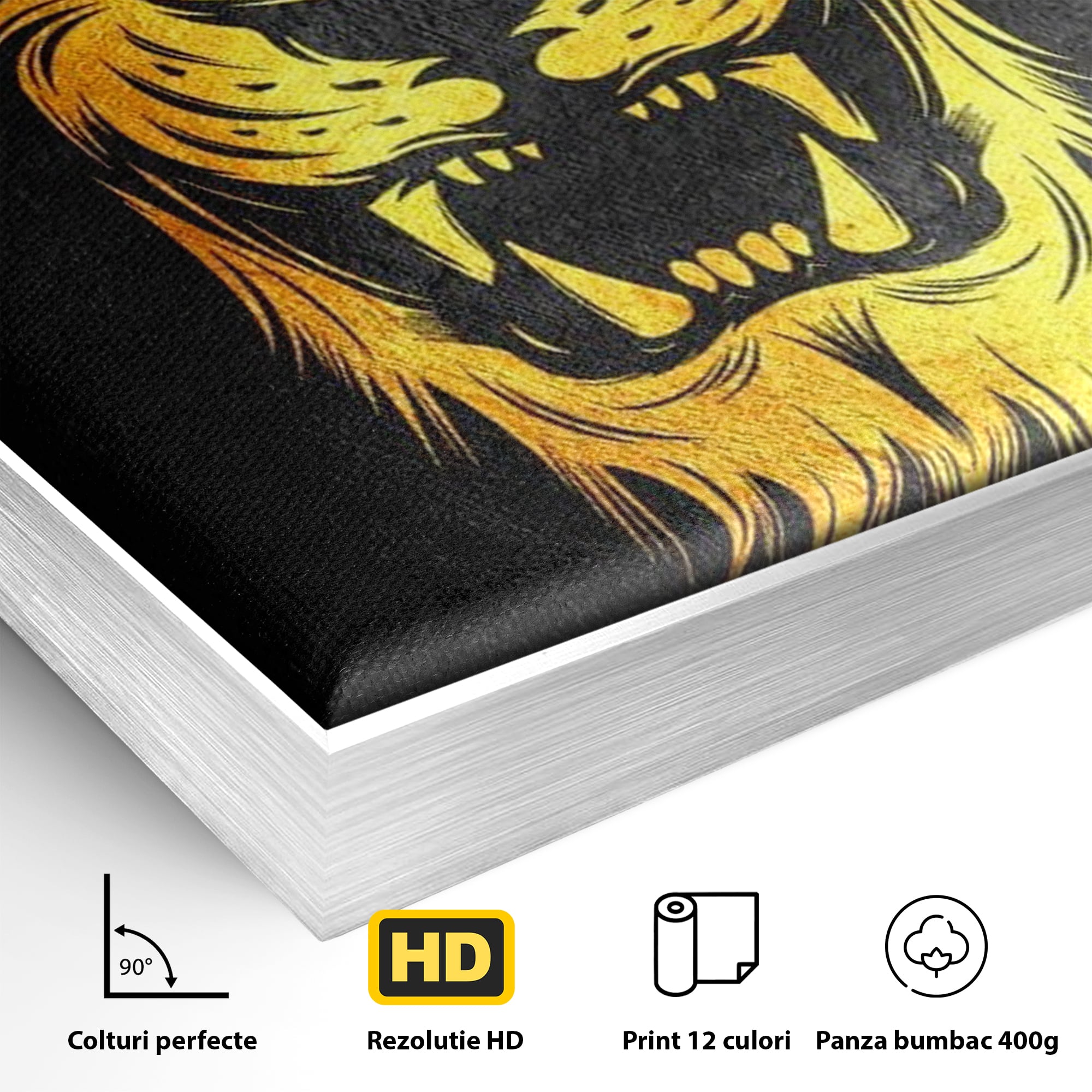 Tablou Canvas Premium LuxCanva® F1023, Privirea Succesului , Succes, Evolutie, Mentalitate, Lider, Succes, Living Room, Birou, Culori vibrante