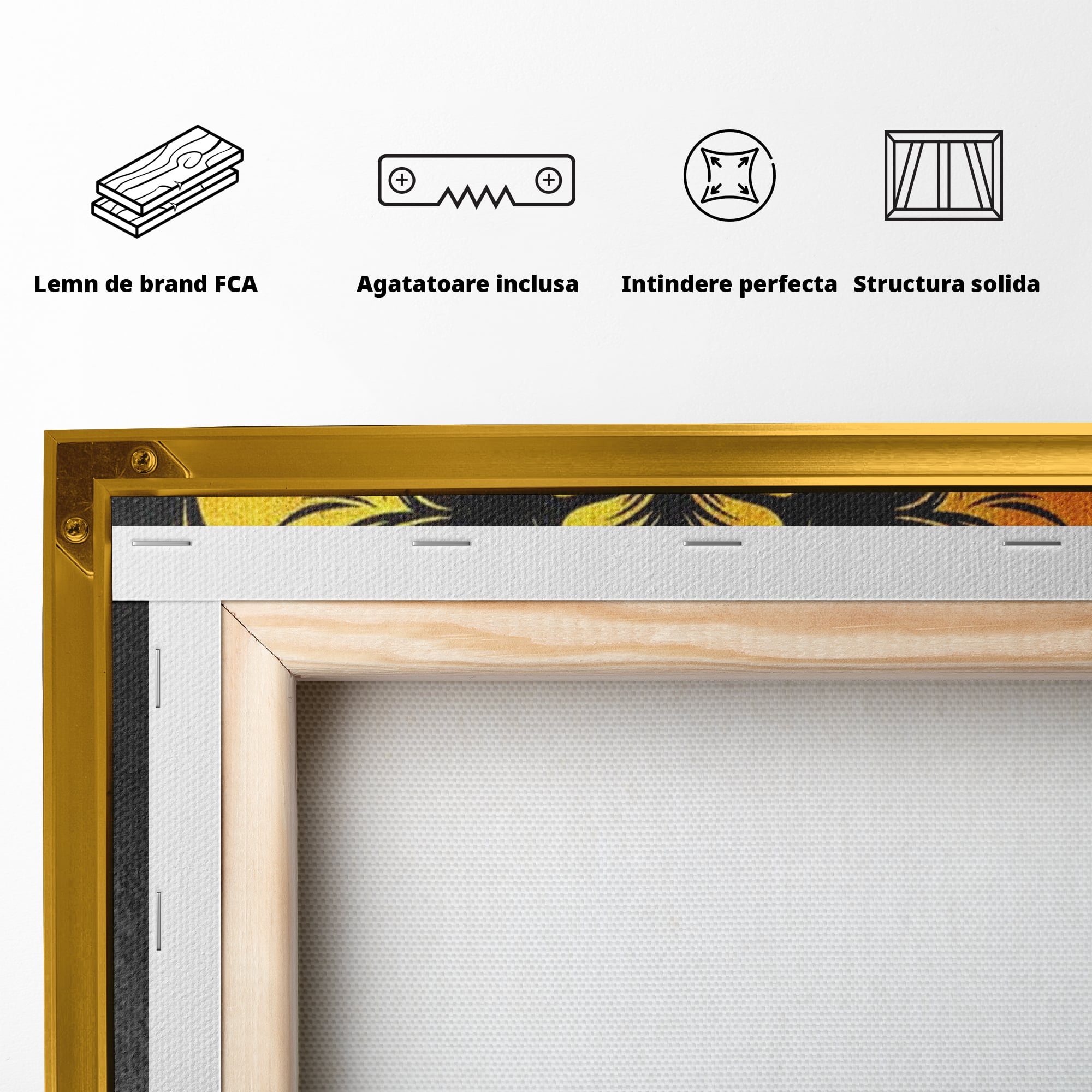 Tablou Canvas Premium LuxCanva® F1023, Privirea Succesului , Succes, Evolutie, Mentalitate, Lider, Succes, Living Room, Birou, Culori vibrante