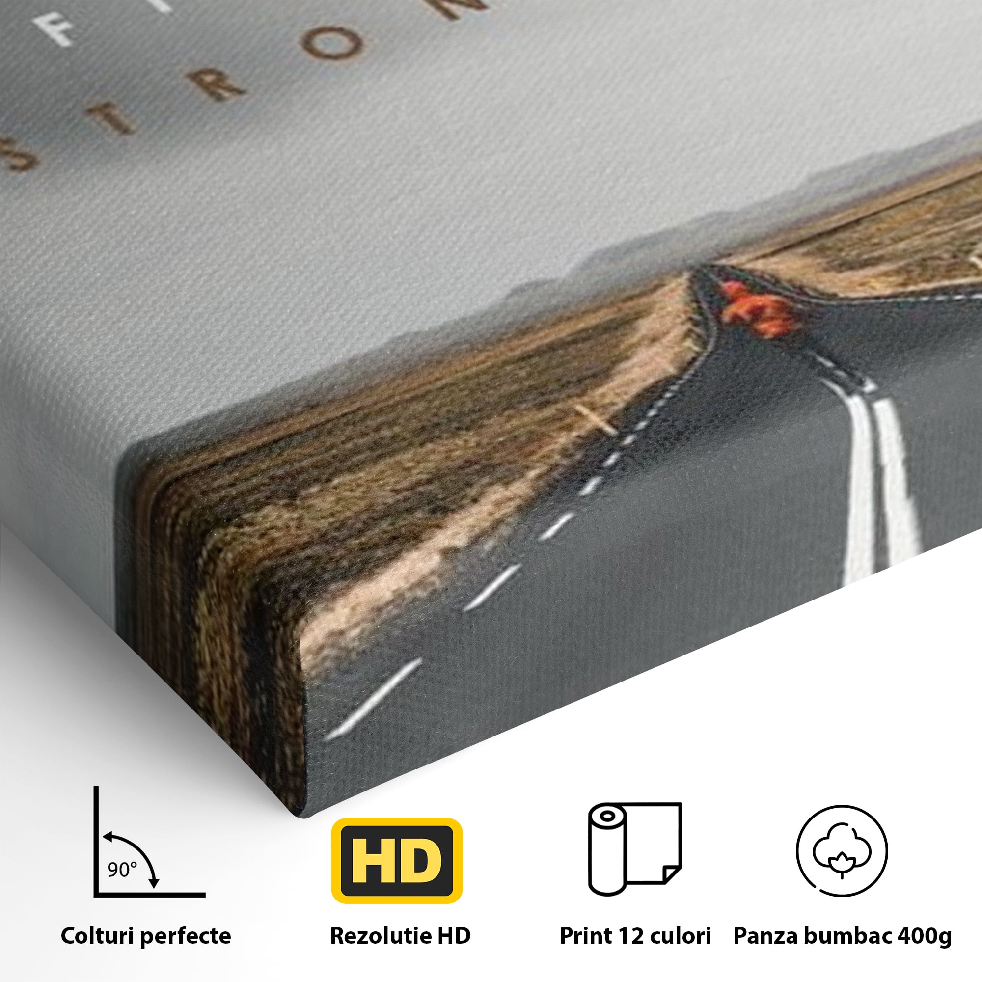 Tablou Canvas Premium LuxCanva® F1024, Calatoria Conteaza , Sportiv, Reusita, Obstacole, Ambitie, Determinare, Living Room, Birou, Culori vibrante