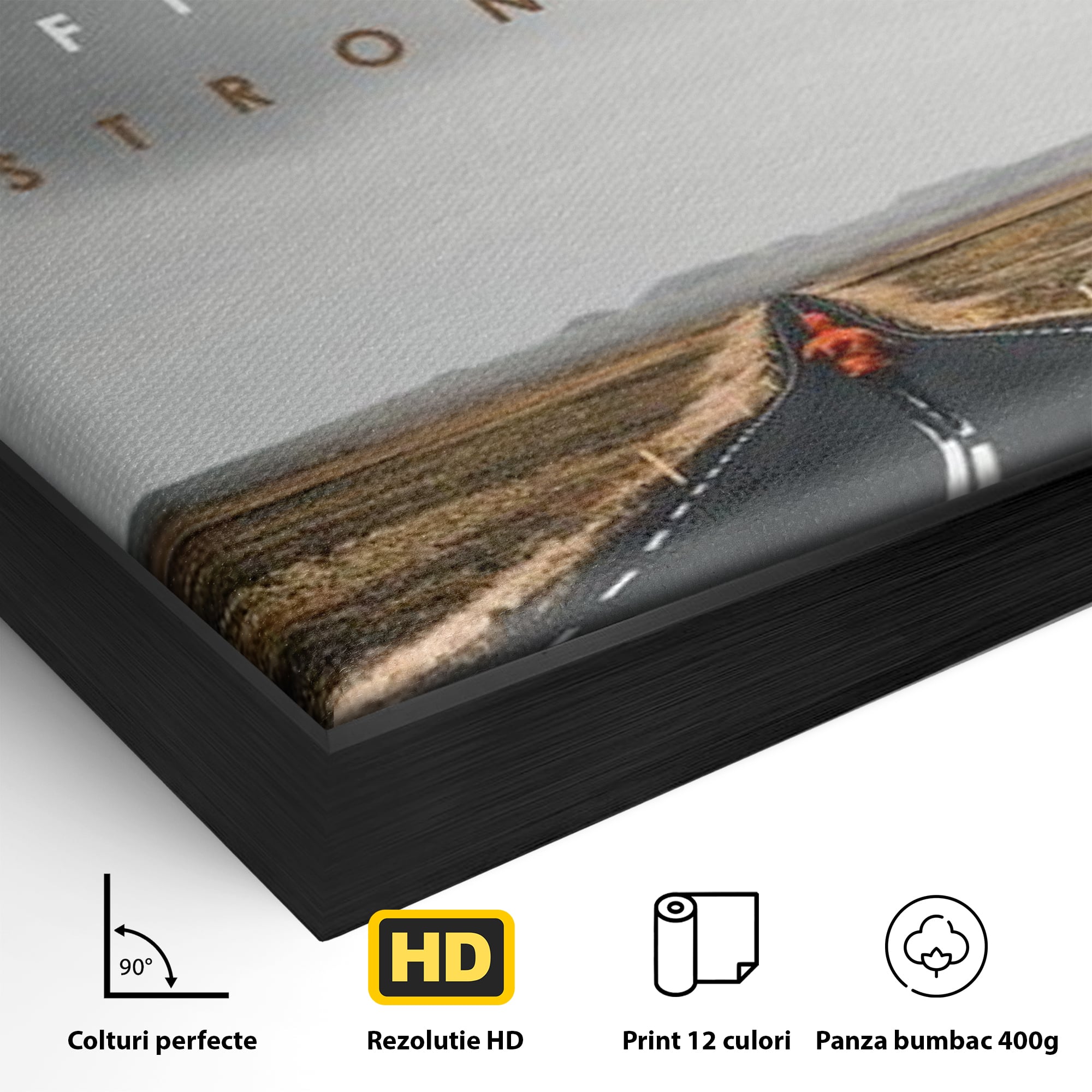 Tablou Canvas Premium LuxCanva® F1024, Calatoria Conteaza , Sportiv, Reusita, Obstacole, Ambitie, Determinare, Living Room, Birou, Culori vibrante
