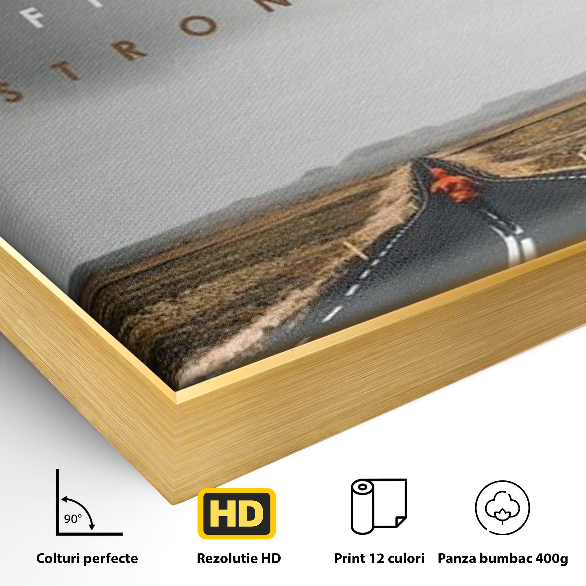 Tablou Canvas Premium LuxCanva® F1024, Calatoria Conteaza , Sportiv, Reusita, Obstacole, Ambitie, Determinare, Living Room, Birou, Culori vibrante