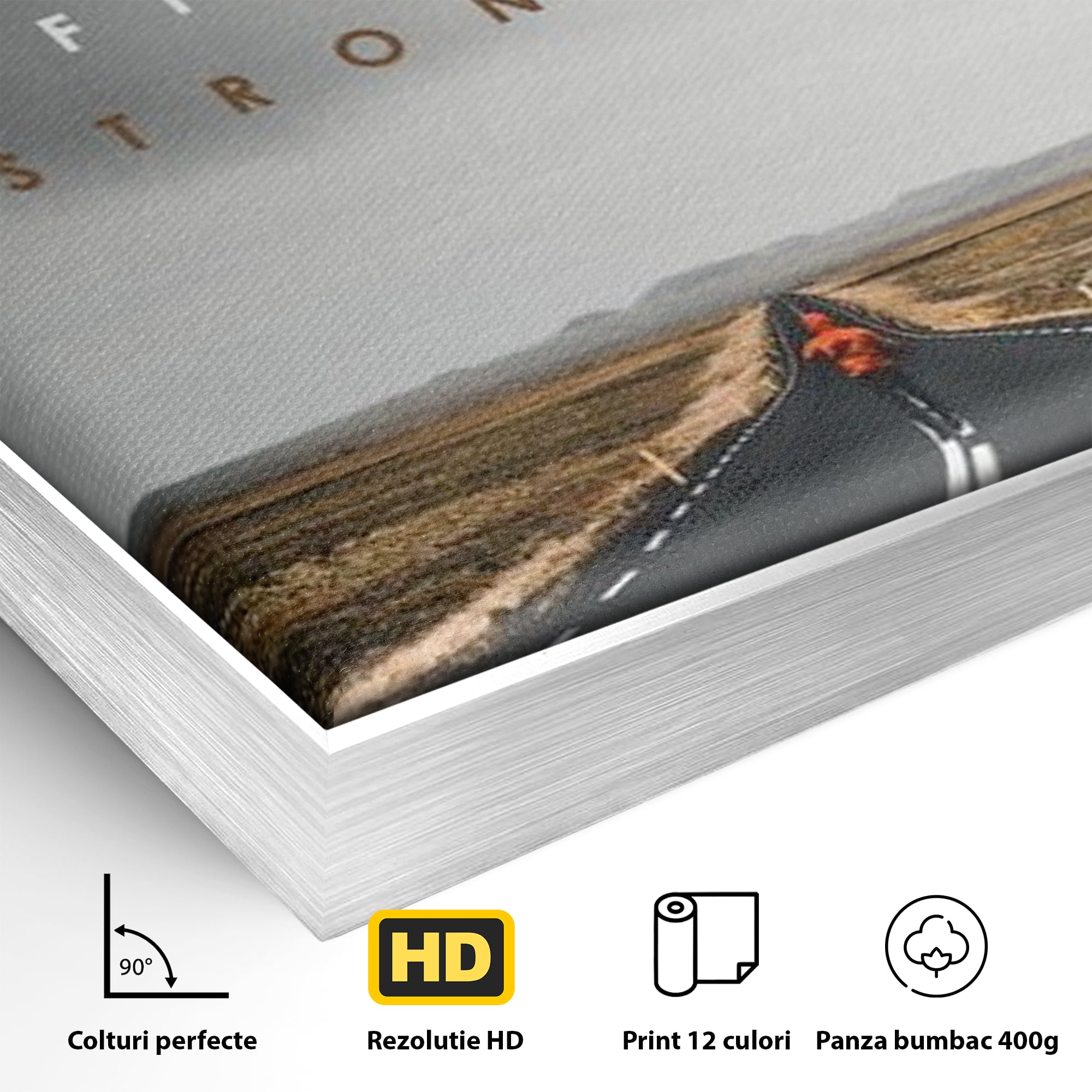 Tablou Canvas Premium LuxCanva® F1024, Calatoria Conteaza , Sportiv, Reusita, Obstacole, Ambitie, Determinare, Living Room, Birou, Culori vibrante