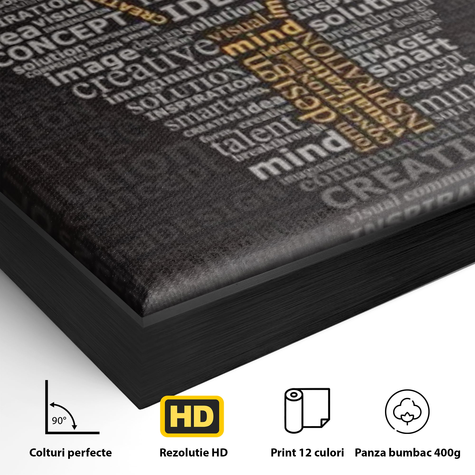 Tablou Canvas Premium LuxCanva® F1025, Ideile Schimba Lumea , Inovatie, Concept, Antreprenor, Idei, Living Room, Birou, Culori vibrante