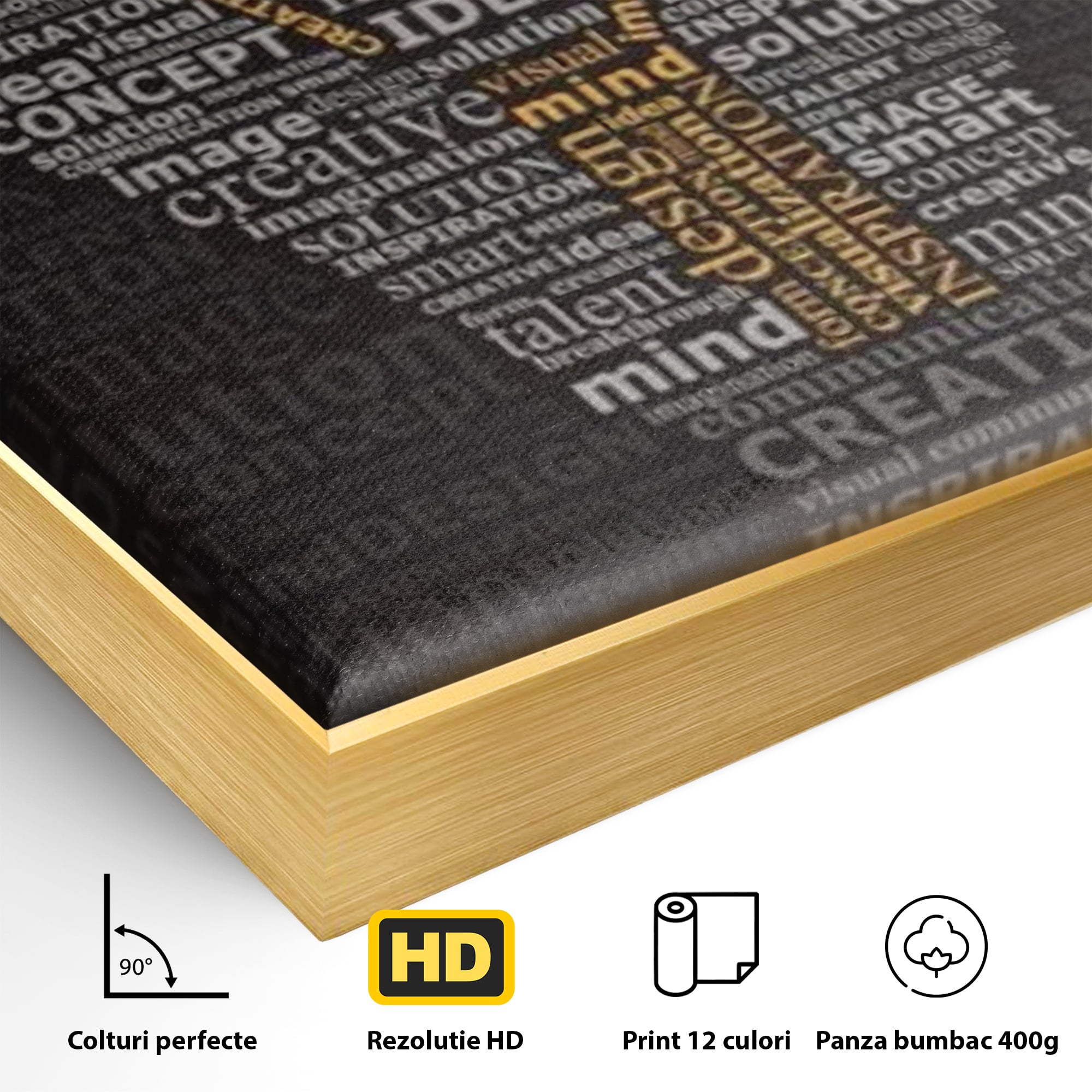 Tablou Canvas Premium LuxCanva® F1025, Ideile Schimba Lumea , Inovatie, Concept, Antreprenor, Idei, Living Room, Birou, Culori vibrante