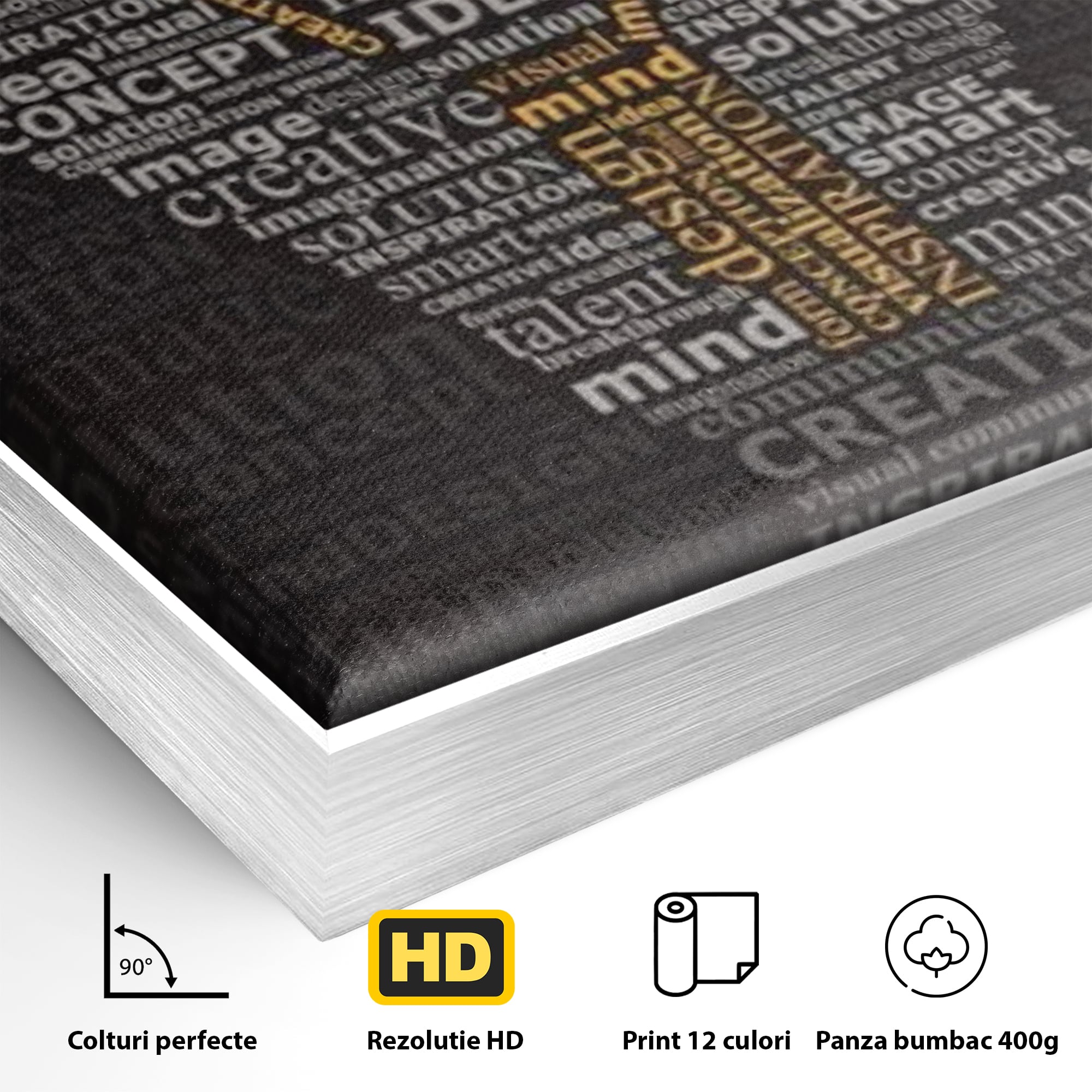 Tablou Canvas Premium LuxCanva® F1025, Ideile Schimba Lumea , Inovatie, Concept, Antreprenor, Idei, Living Room, Birou, Culori vibrante