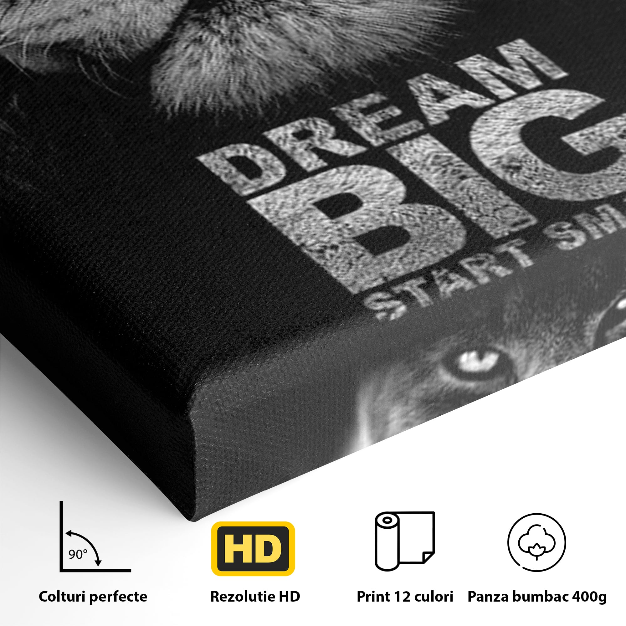 Tablou Canvas Premium LuxCanva® F1028, De la Mic la Legendar , Leu, Pisica, Evolutie, Vis, Realitate, Living Room, Birou, Culori vibrante