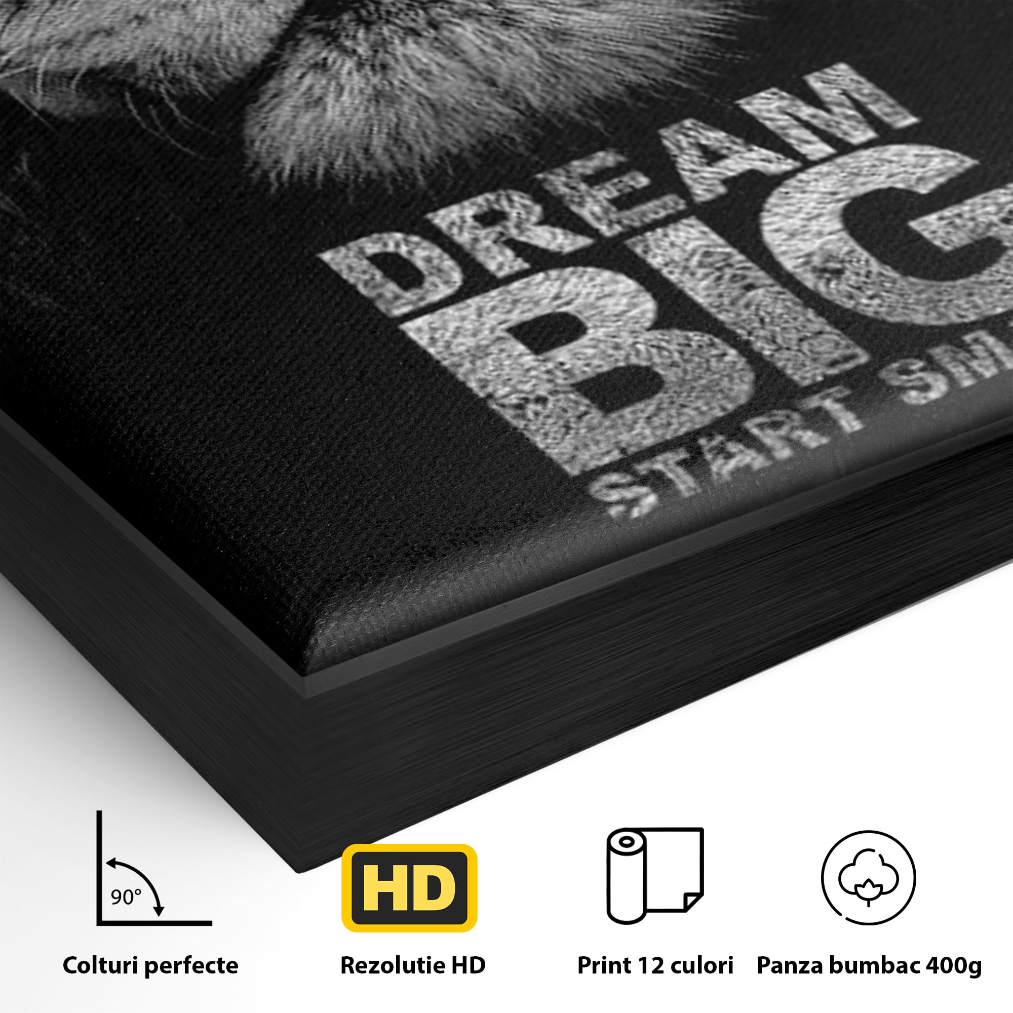 Tablou Canvas Premium LuxCanva® F1028, De la Mic la Legendar , Leu, Pisica, Evolutie, Vis, Realitate, Living Room, Birou, Culori vibrante