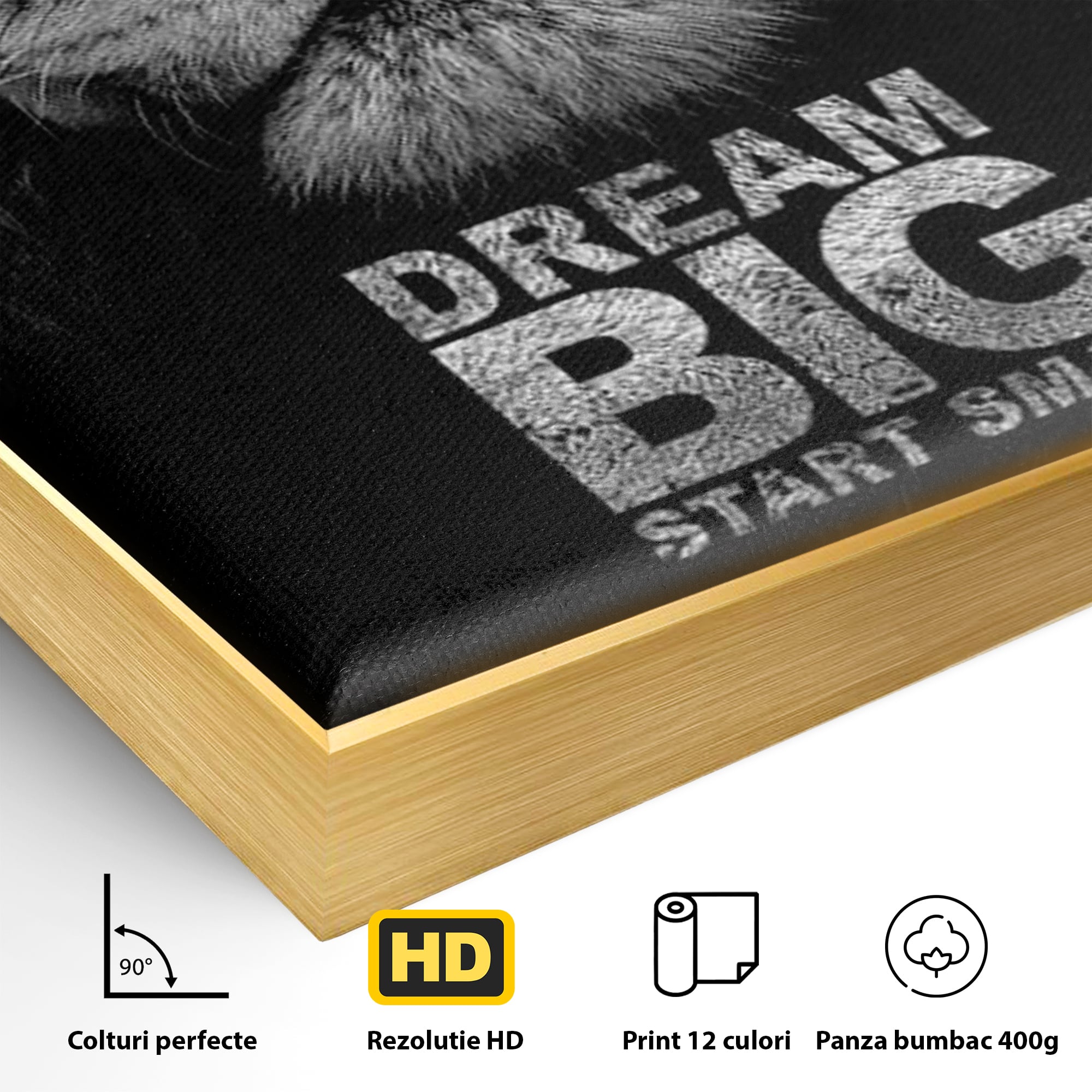 Tablou Canvas Premium LuxCanva® F1028, De la Mic la Legendar , Leu, Pisica, Evolutie, Vis, Realitate, Living Room, Birou, Culori vibrante
