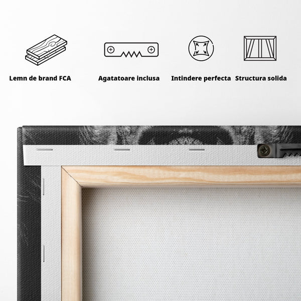 Tablou Canvas Premium LuxCanva® F1028, De la Mic la Legendar , Leu, Pisica, Evolutie, Vis, Realitate, Living Room, Birou, Culori vibrante