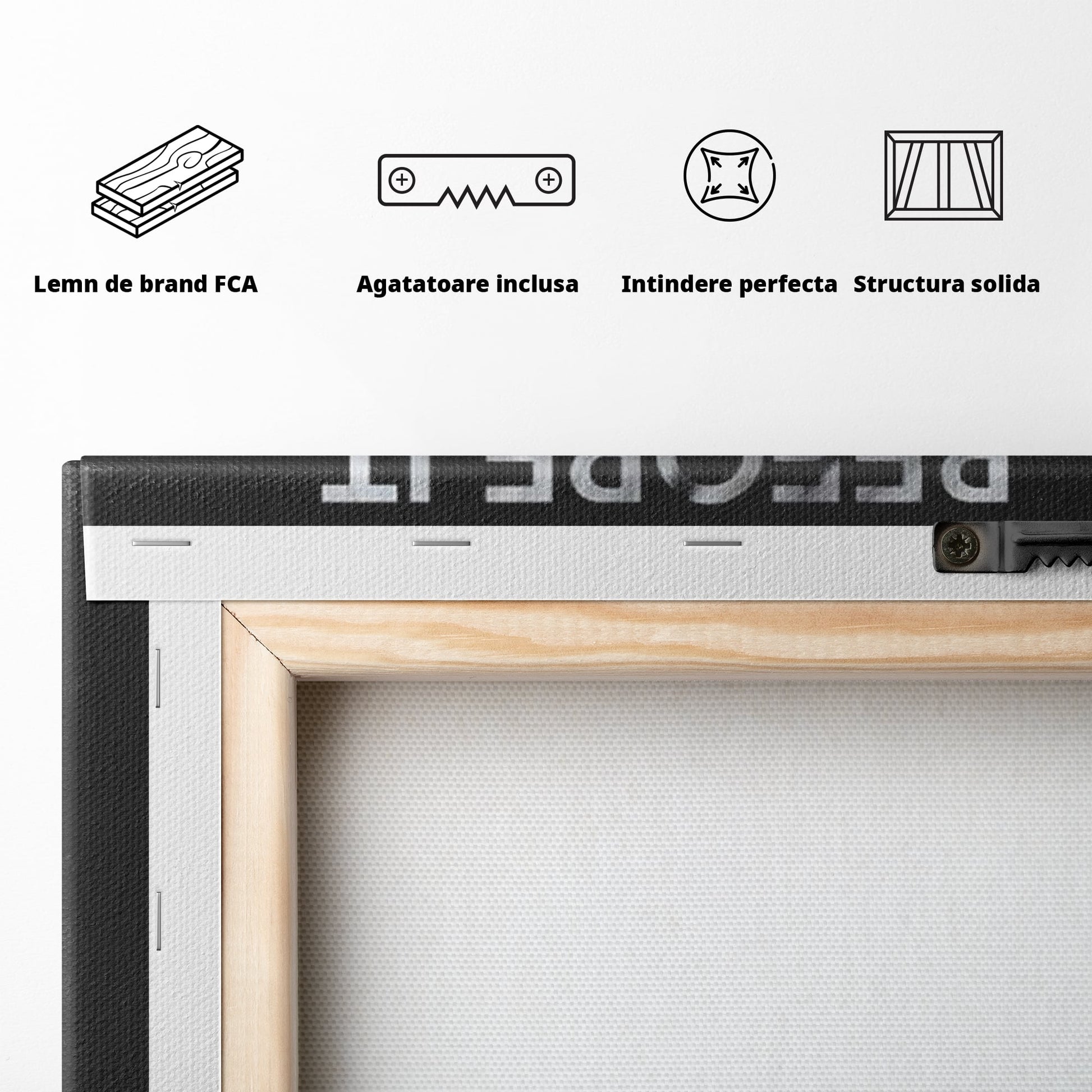 Tablou Canvas Premium LuxCanva® F1029, Imaginatia Devine Realitate , Pisica, Viziune, Credinta, Realitate, Reusita, Living Room, Birou, Culori vibrante