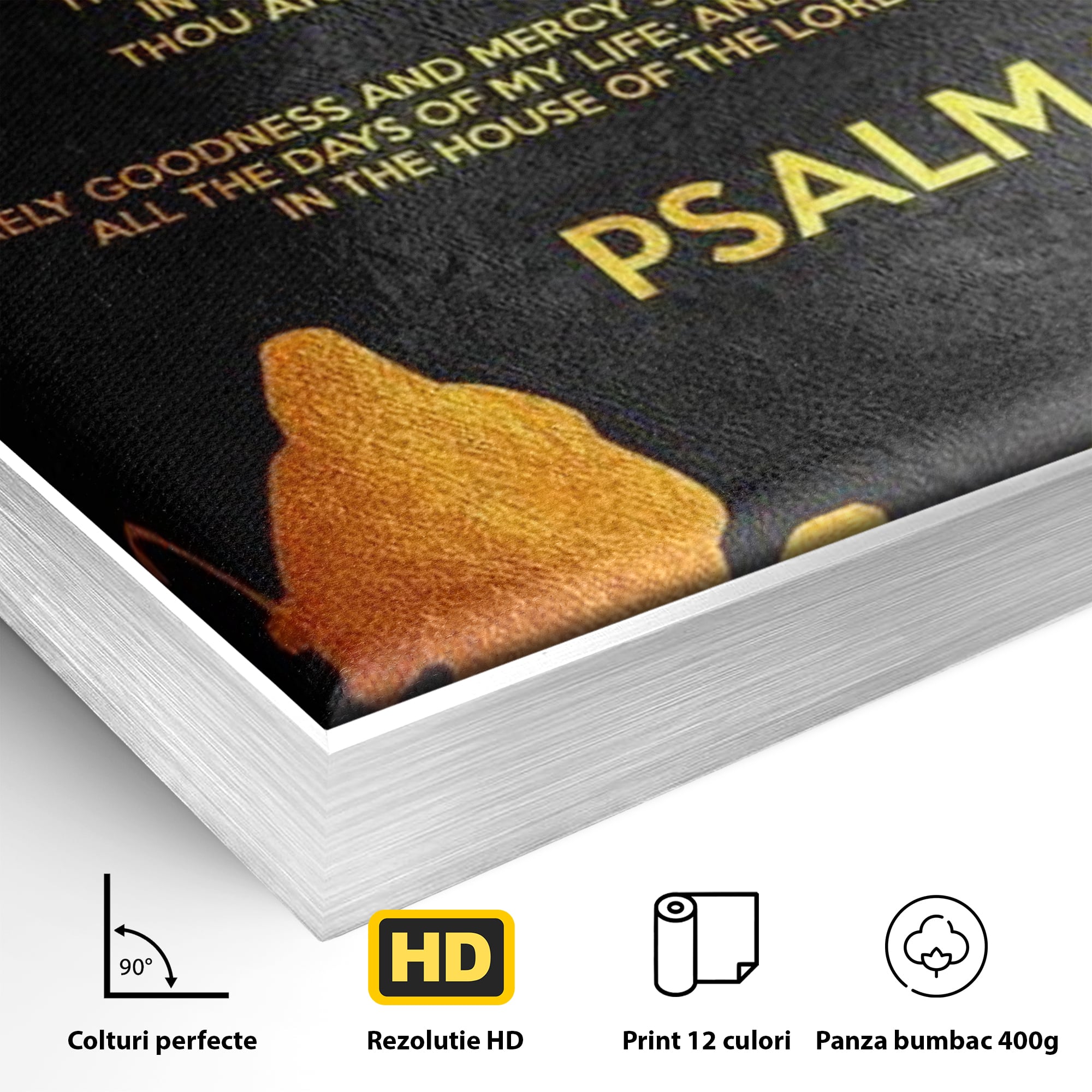 Tablou Canvas Premium LuxCanva® F1032, Pastorul Cel Bun , Rasplata, Calauzit, Pace, Pastor, Meditatie, Living Room, Birou, Culori vibrante