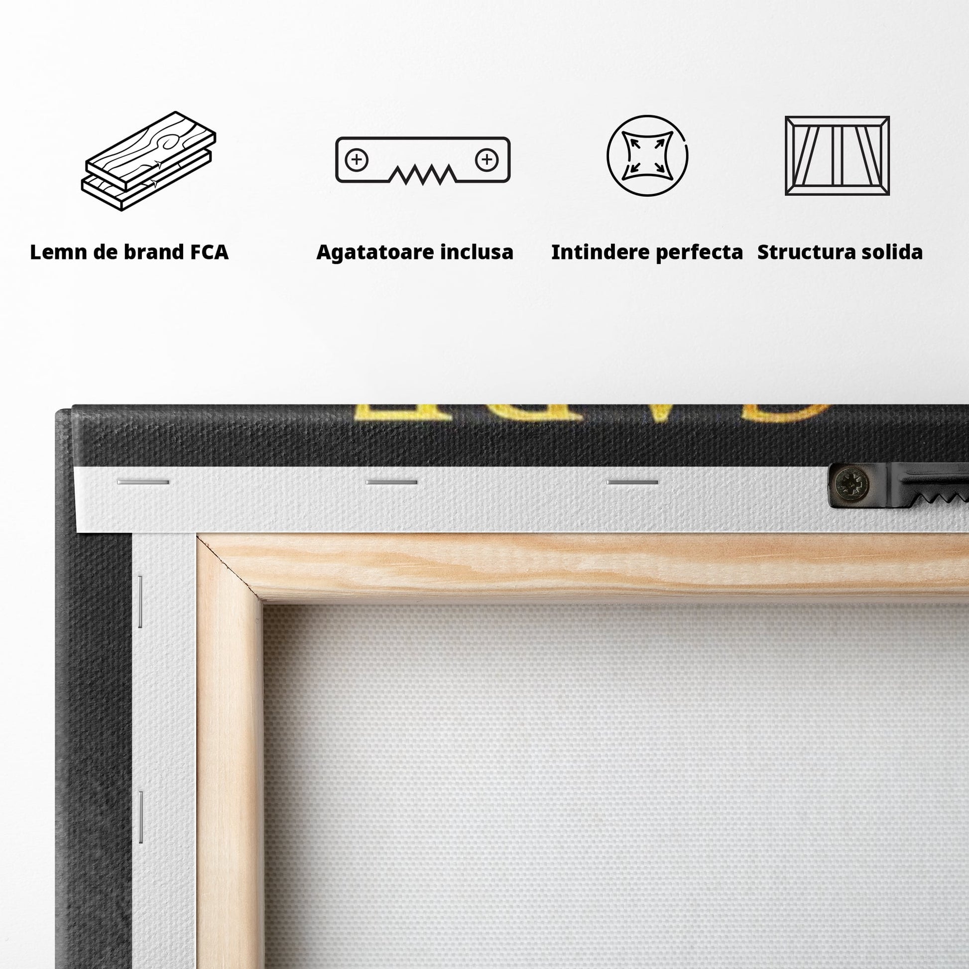 Tablou Canvas Premium LuxCanva® F1035, Mentalitatea Unui Invingator , Motivatie, Visare, Risc, Compasiune, Living Room, Birou, Culori vibrante