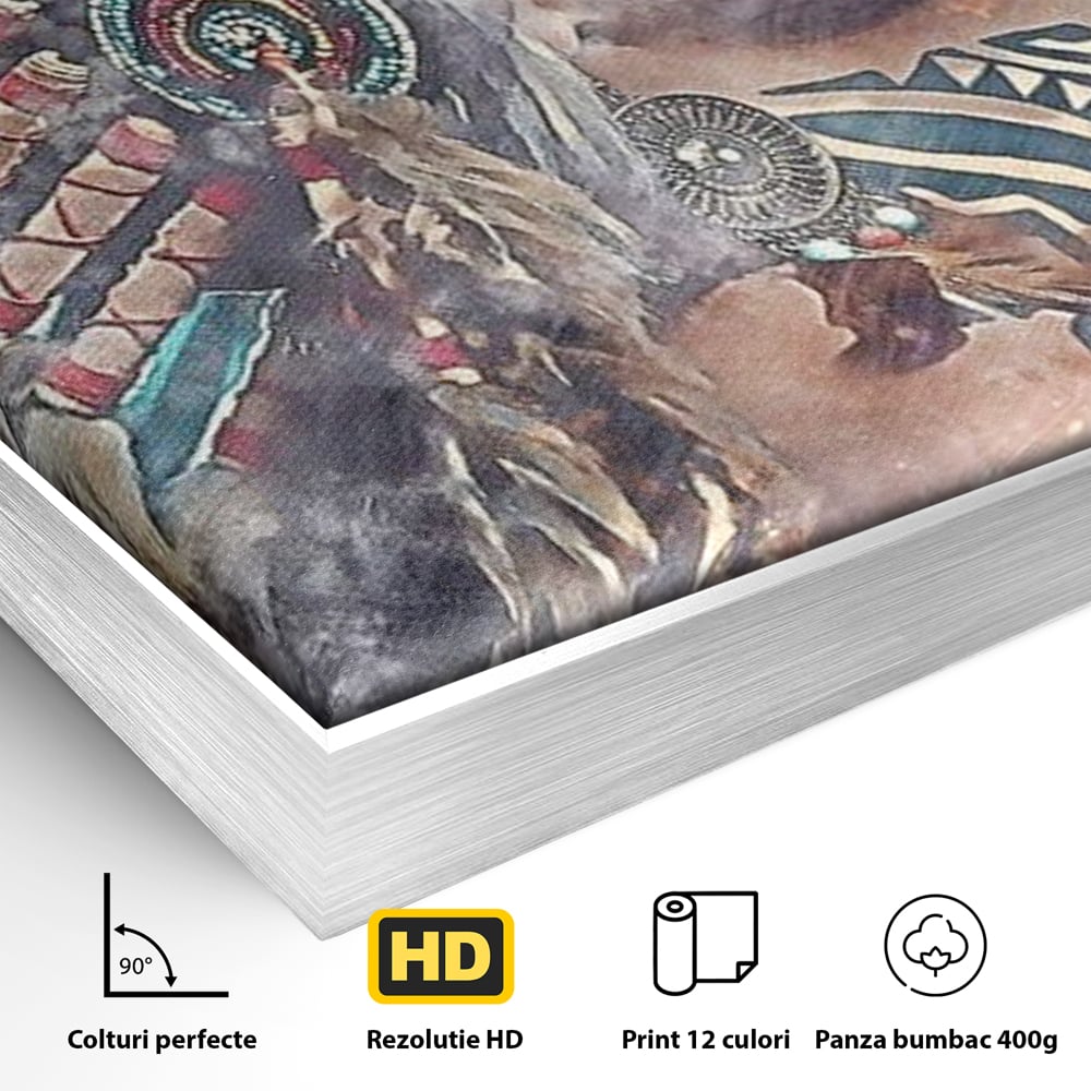 Tablou Canvas Premium LuxCanva® G1006, Suflet de Razboinica , Forta, Curaj, Tribal, Misticism, Pene, Salbatica, Femeie, Living, Dormitor, Culori vibrante