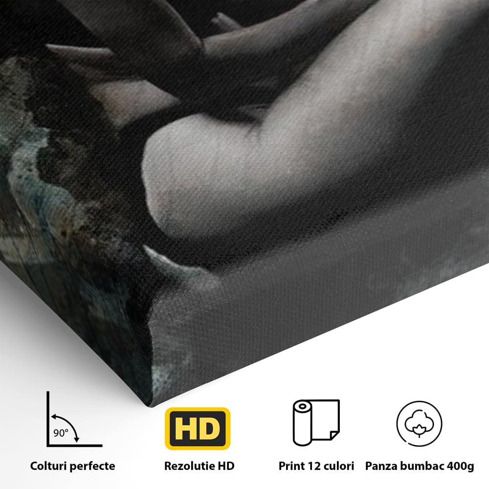 Tablou Canvas Premium LuxCanva® G1017, Sub Palaria Misterului , Palarie, Silueta, Umbra, Dorinta, Senzualitate, Feminitate, Eleganta, Living, Dormitor, Culori vibrante