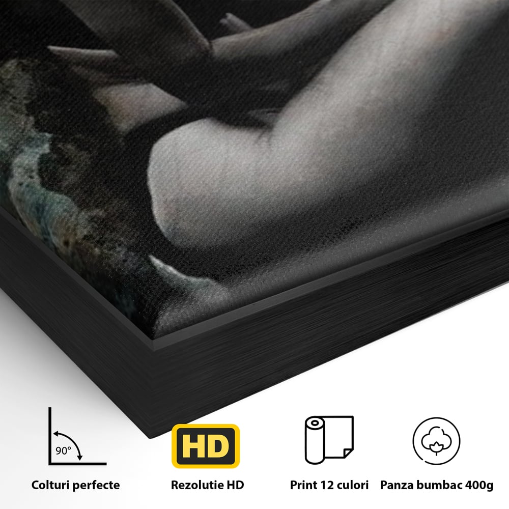 Tablou Canvas Premium LuxCanva® G1017, Sub Palaria Misterului , Palarie, Silueta, Umbra, Dorinta, Senzualitate, Feminitate, Eleganta, Living, Dormitor, Culori vibrante