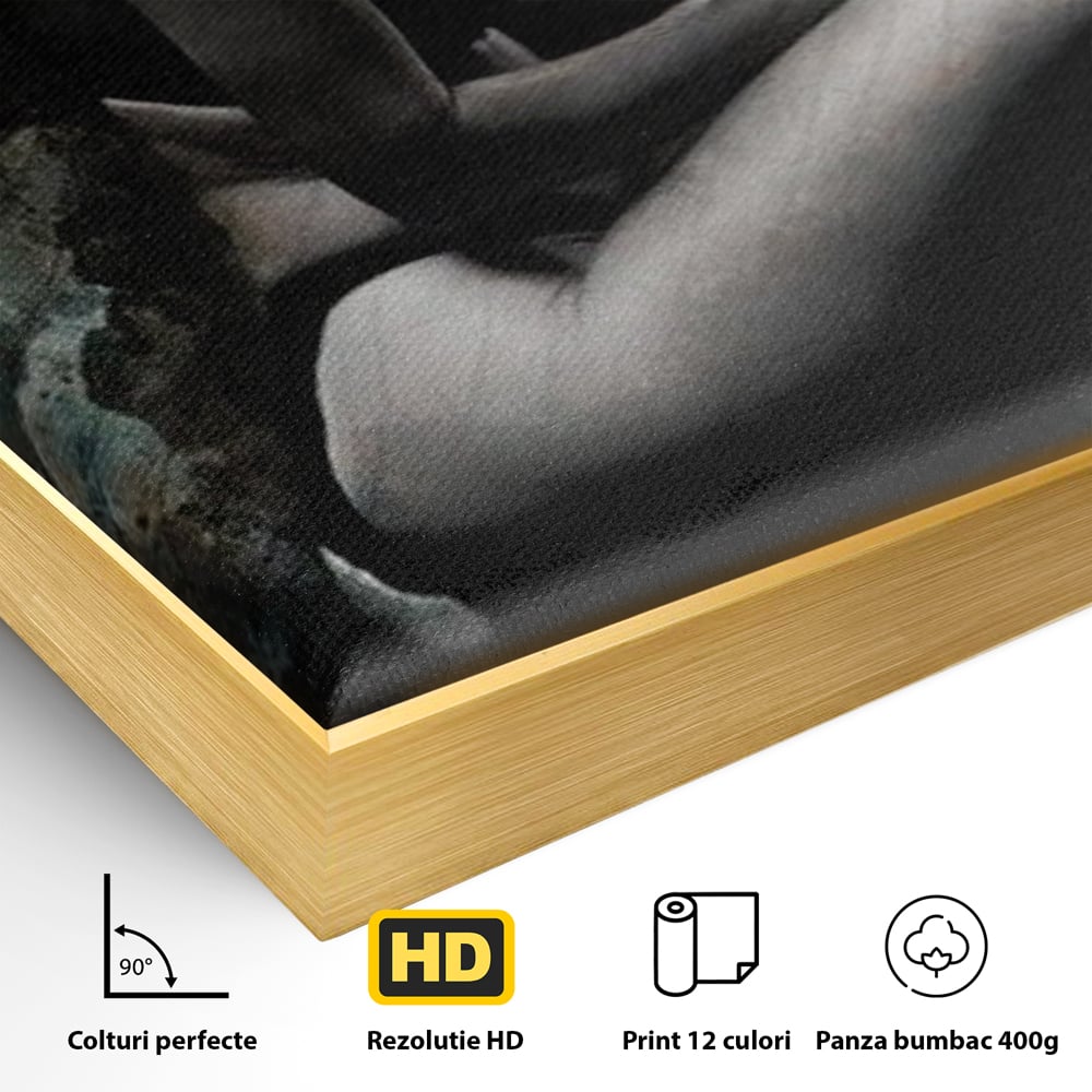 Tablou Canvas Premium LuxCanva® G1017, Sub Palaria Misterului , Palarie, Silueta, Umbra, Dorinta, Senzualitate, Feminitate, Eleganta, Living, Dormitor, Culori vibrante