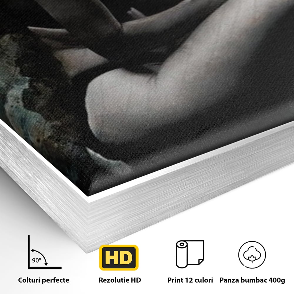 Tablou Canvas Premium LuxCanva® G1017, Sub Palaria Misterului , Palarie, Silueta, Umbra, Dorinta, Senzualitate, Feminitate, Eleganta, Living, Dormitor, Culori vibrante