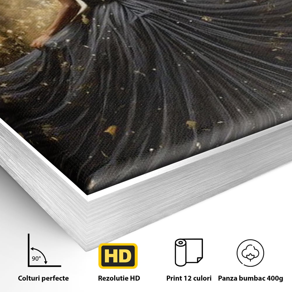 Tablou Canvas Premium LuxCanva® G1027, Magia din Intuneric , Stralucire, Magie, Rochie, Basm, Feminitate, Mister, Silueta, Living, Dormitor