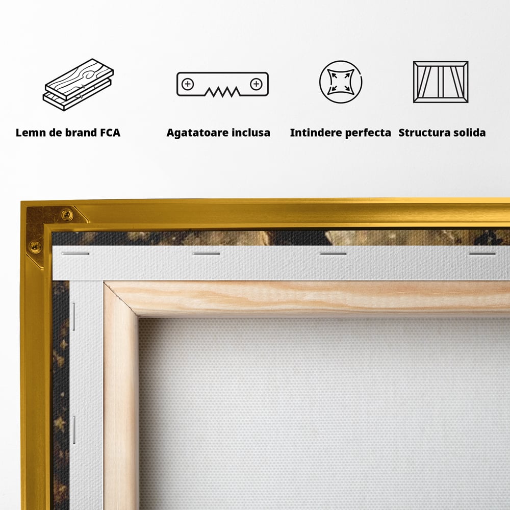 Tablou Canvas Premium LuxCanva® G1027, Magia din Intuneric , Stralucire, Magie, Rochie, Basm, Feminitate, Mister, Silueta, Living, Dormitor