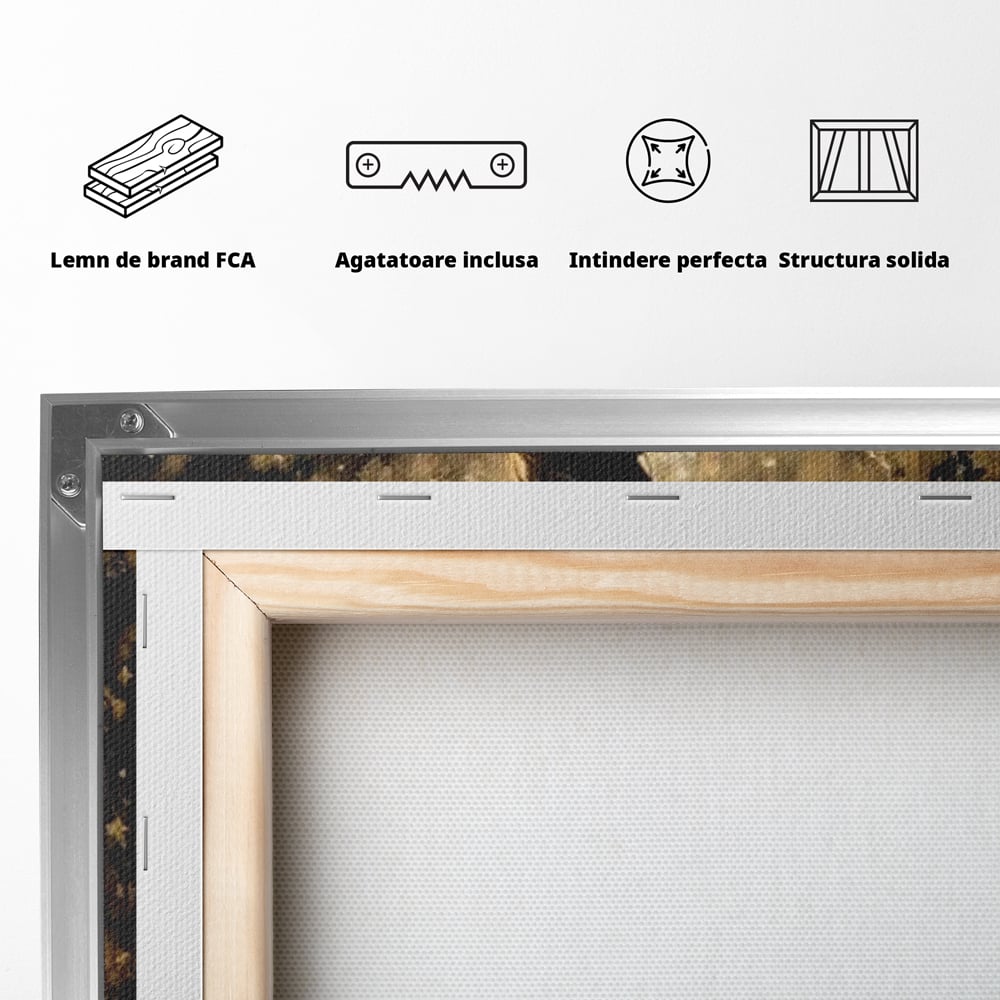 Tablou Canvas Premium LuxCanva® G1027, Magia din Intuneric , Stralucire, Magie, Rochie, Basm, Feminitate, Mister, Silueta, Living, Dormitor