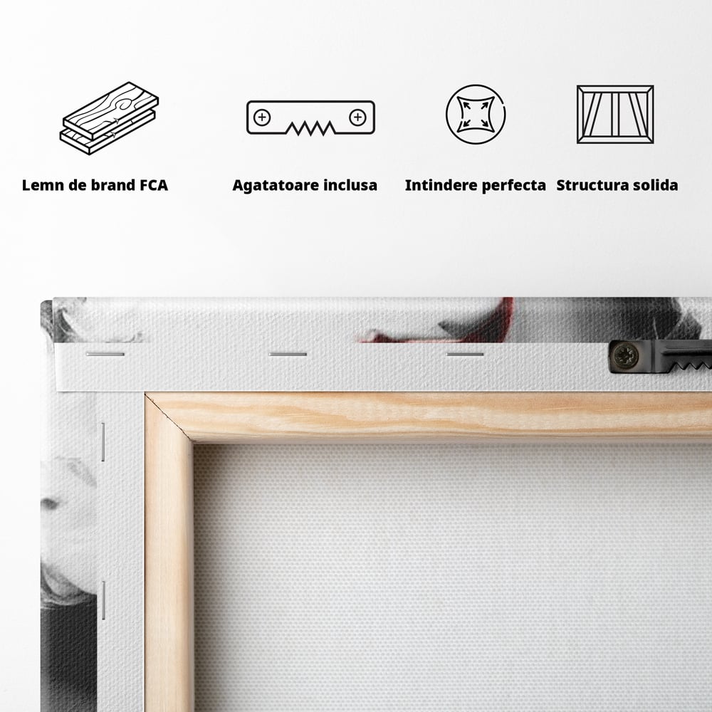 Tablou Canvas Premium LuxCanva® G1028, Bani, Fum si Dorinta ,  Bani, Extravagant, Fum, Buze, Tigara, Interzis, Seductie, Rosii, Living, Dormitor