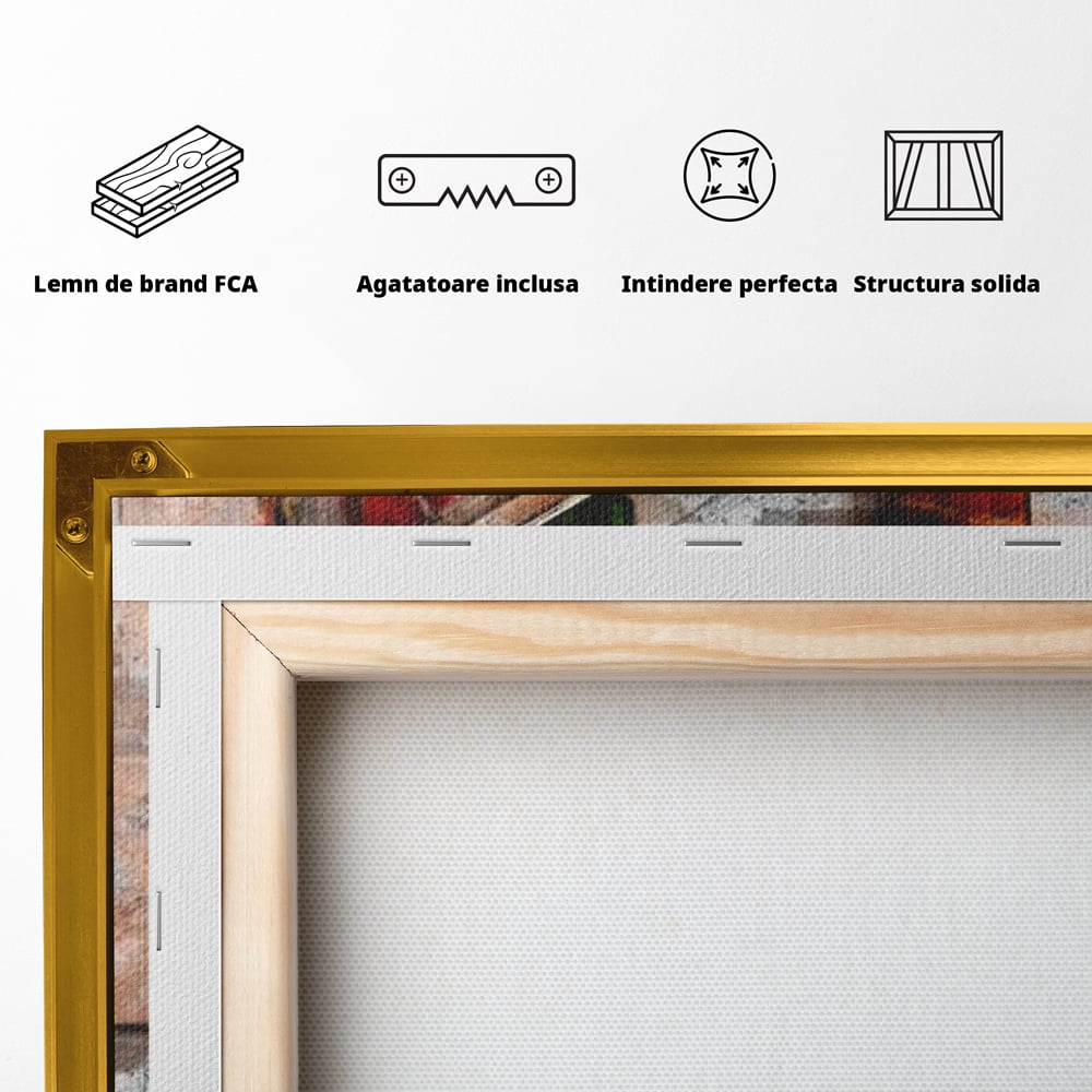 Tablou Canvas Premium LuxCanva® G1047, Pianista in Rosu