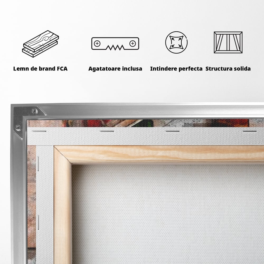 Tablou Canvas Premium LuxCanva® G1047, Pianista in Rosu