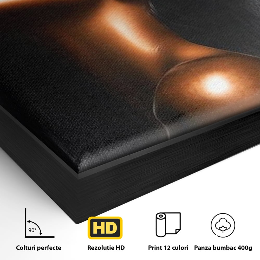 Tablou Canvas Premium LuxCanva® G1058, Ecoul Simturilor ,  Arta, Bronz, Emotie, Expresivitate, Aura, Libertate, Estetica, Living, Dormitor, Culori vibrante