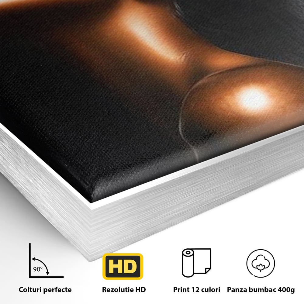 Tablou Canvas Premium LuxCanva® G1058, Ecoul Simturilor ,  Arta, Bronz, Emotie, Expresivitate, Aura, Libertate, Estetica, Living, Dormitor, Culori vibrante