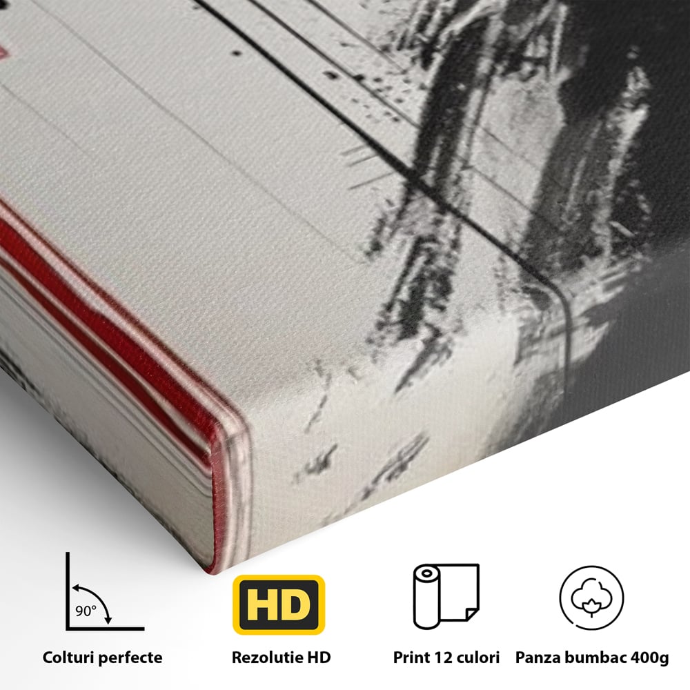 Tablou Canvas Premium LuxCanva® G1061, Aleasa Samuraului , Gheisa, Eterna, Litere, Japoneze, Tus, Negru, Sotie, Zen, Umbra, Living, Dormitor