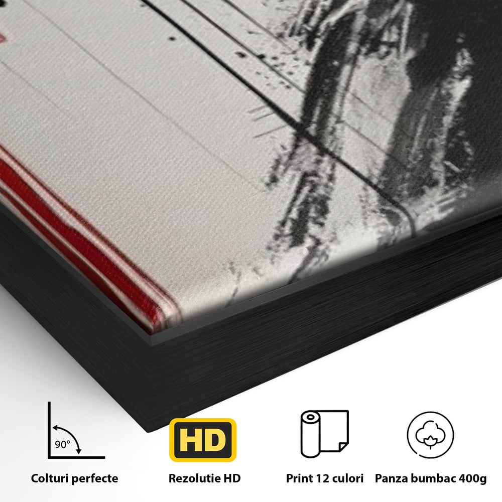 Tablou Canvas Premium LuxCanva® G1061, Aleasa Samuraului , Gheisa, Eterna, Litere, Japoneze, Tus, Negru, Sotie, Zen, Umbra, Living, Dormitor