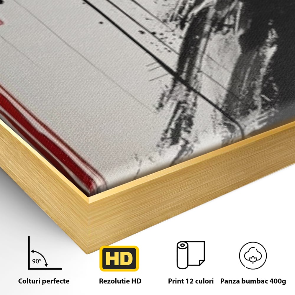 Tablou Canvas Premium LuxCanva® G1061, Aleasa Samuraului , Gheisa, Eterna, Litere, Japoneze, Tus, Negru, Sotie, Zen, Umbra, Living, Dormitor