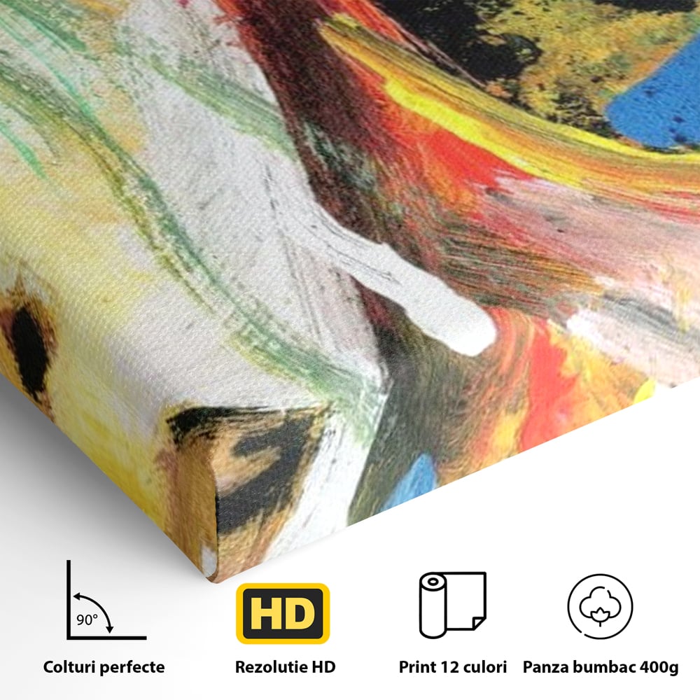 Tablou Canvas Premium, LuxCanva® G1079, Sentimente pe Panza, Lacrimi, Colorate, Suferinta, Emotie, Traire, Freamat, Culori, Living, Dormitor