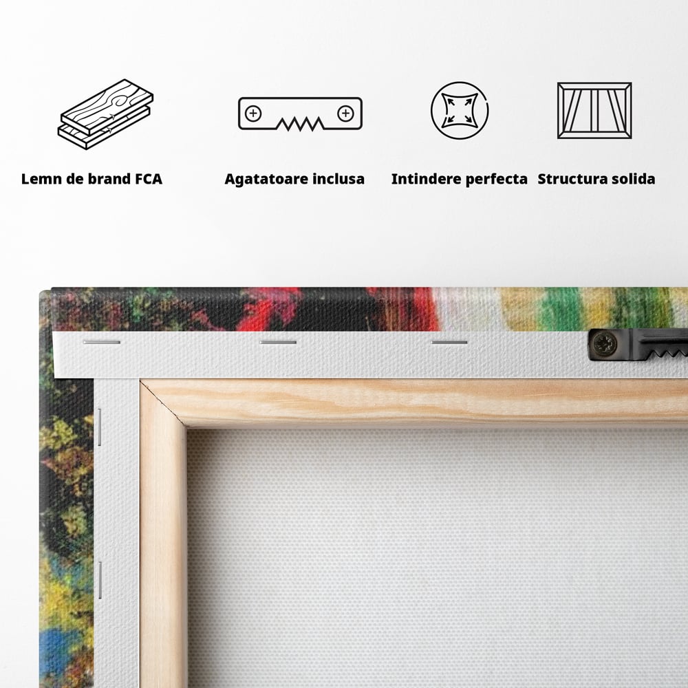 Tablou Canvas Premium, LuxCanva® G1079, Sentimente pe Panza, Lacrimi, Colorate, Suferinta, Emotie, Traire, Freamat, Culori, Living, Dormitor