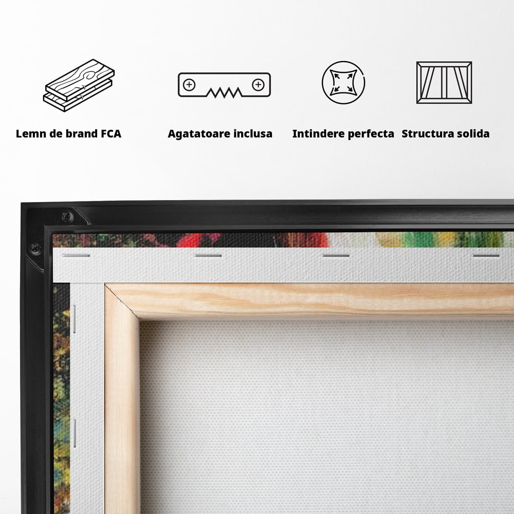 Tablou Canvas Premium, LuxCanva® G1079, Sentimente pe Panza, Lacrimi, Colorate, Suferinta, Emotie, Traire, Freamat, Culori, Living, Dormitor