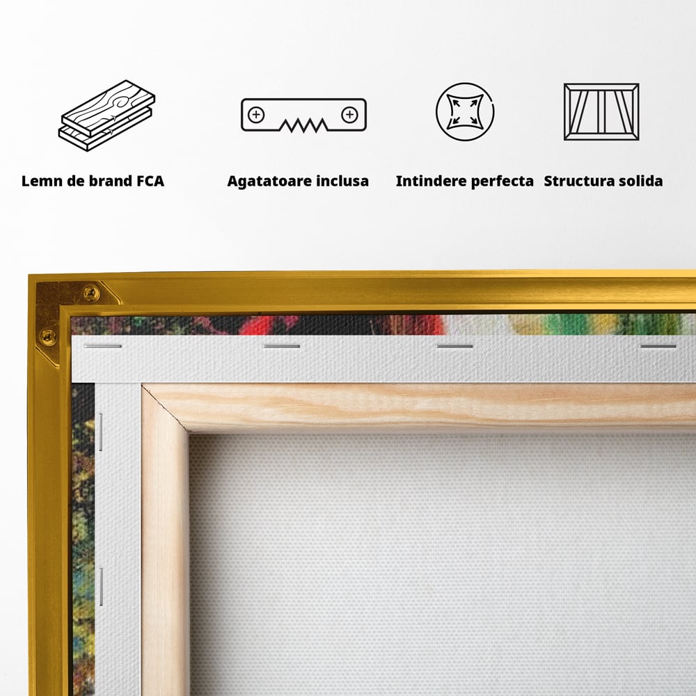 Tablou Canvas Premium, LuxCanva® G1079, Sentimente pe Panza, Lacrimi, Colorate, Suferinta, Emotie, Traire, Freamat, Culori, Living, Dormitor