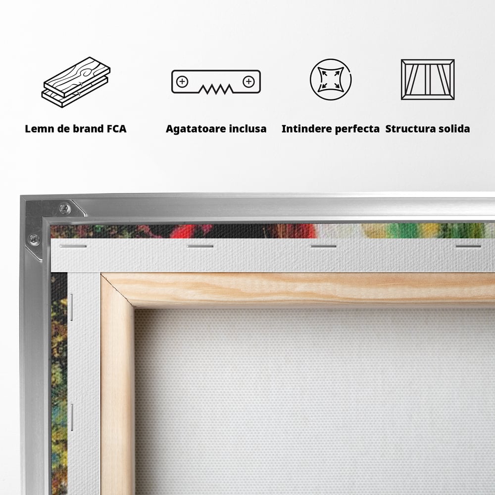 Tablou Canvas Premium, LuxCanva® G1079, Sentimente pe Panza, Lacrimi, Colorate, Suferinta, Emotie, Traire, Freamat, Culori, Living, Dormitor