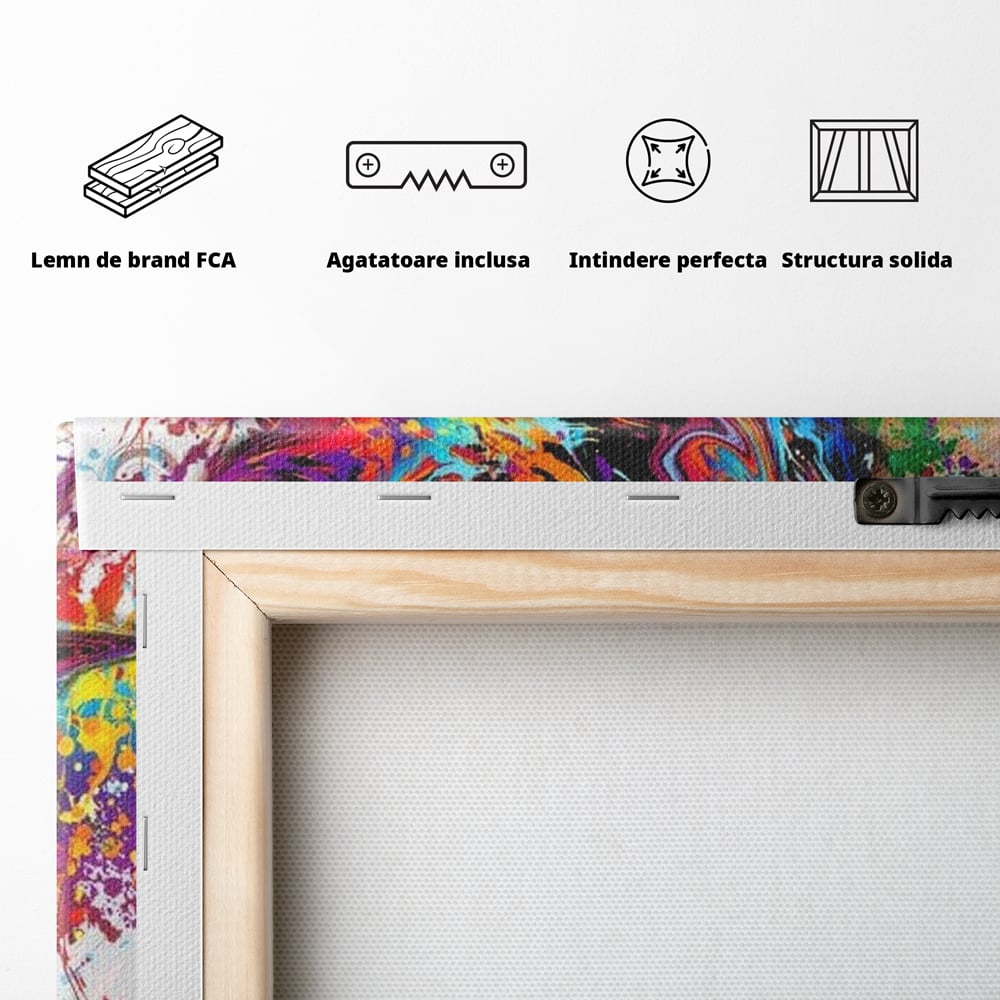 Tablou Canvas Premium, LuxCanva® G1081, Energia Creativitatii, Explozie, Culoare, Haos, Femeie, Privire, Artistic, Expozitie, Living, Dormitor