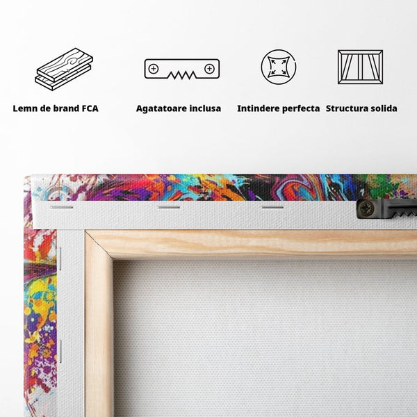 Tablou Canvas Premium, LuxCanva® G1081, Energia Creativitatii, Explozie, Culoare, Haos, Femeie, Privire, Artistic, Expozitie, Living, Dormitor