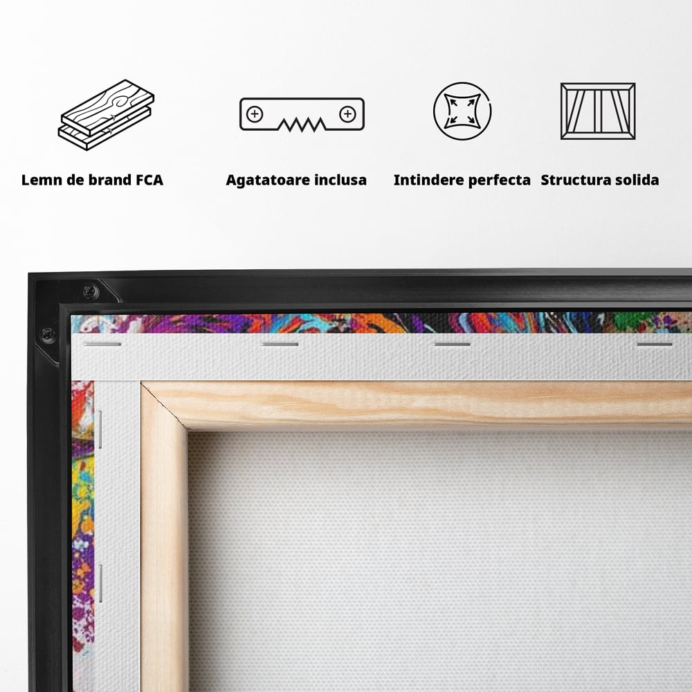 Tablou Canvas Premium, LuxCanva® G1081, Energia Creativitatii, Explozie, Culoare, Haos, Femeie, Privire, Artistic, Expozitie, Living, Dormitor