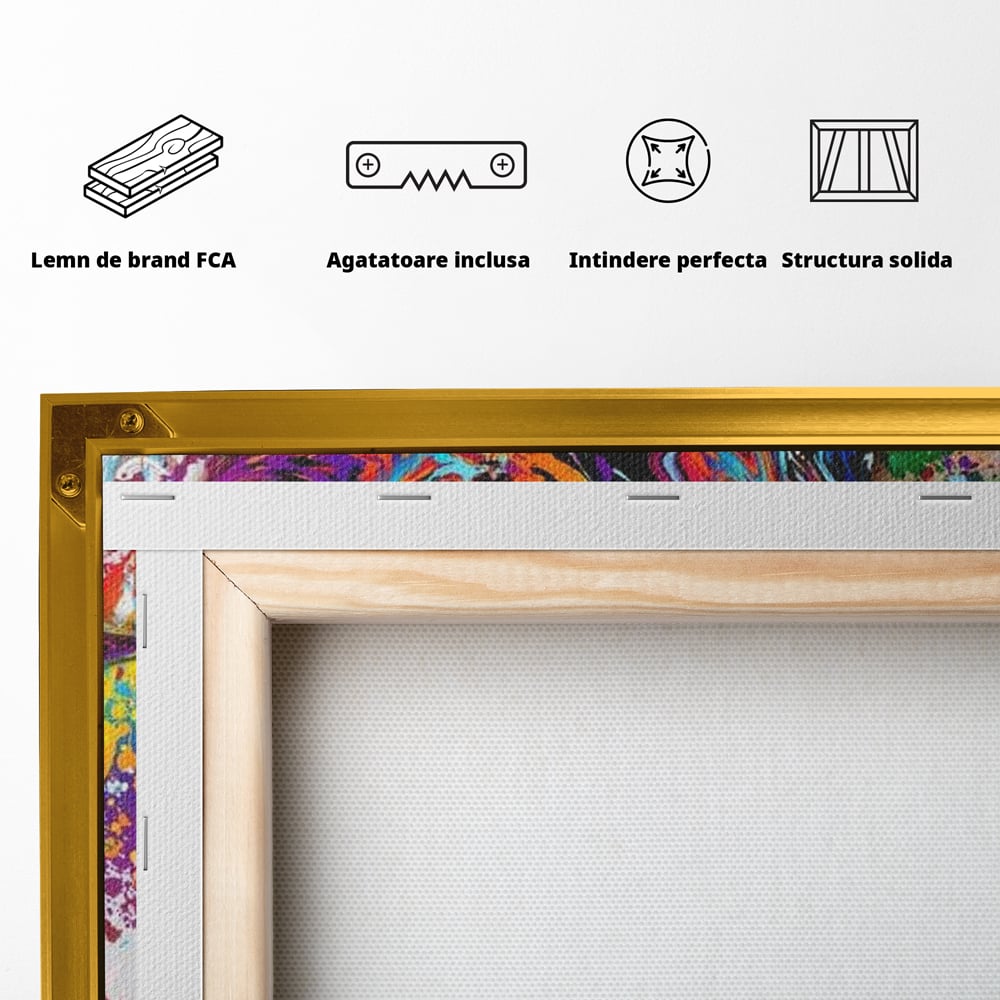 Tablou Canvas Premium, LuxCanva® G1081, Energia Creativitatii, Explozie, Culoare, Haos, Femeie, Privire, Artistic, Expozitie, Living, Dormitor